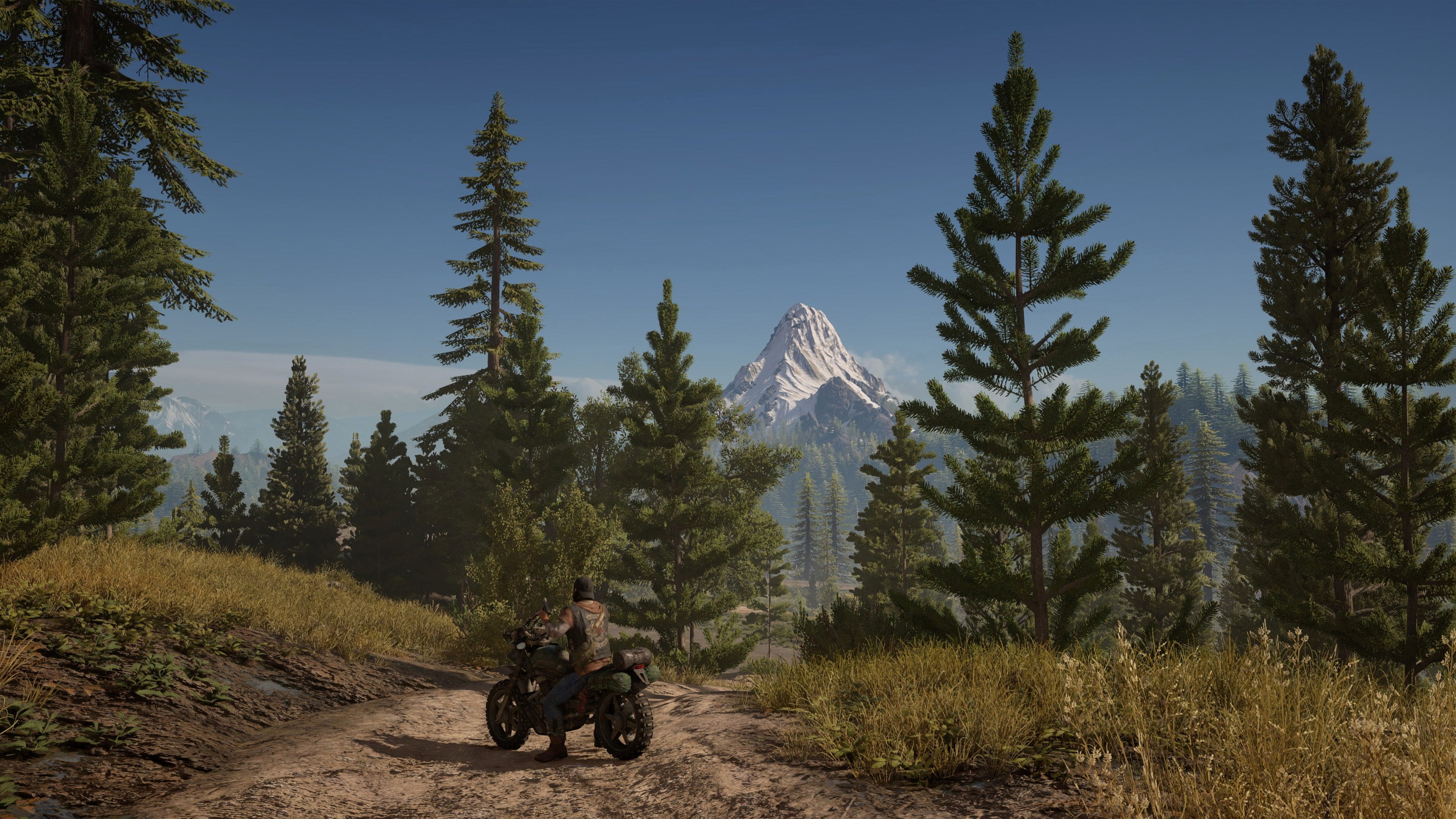 days gone, 2K, HD Wallpaper