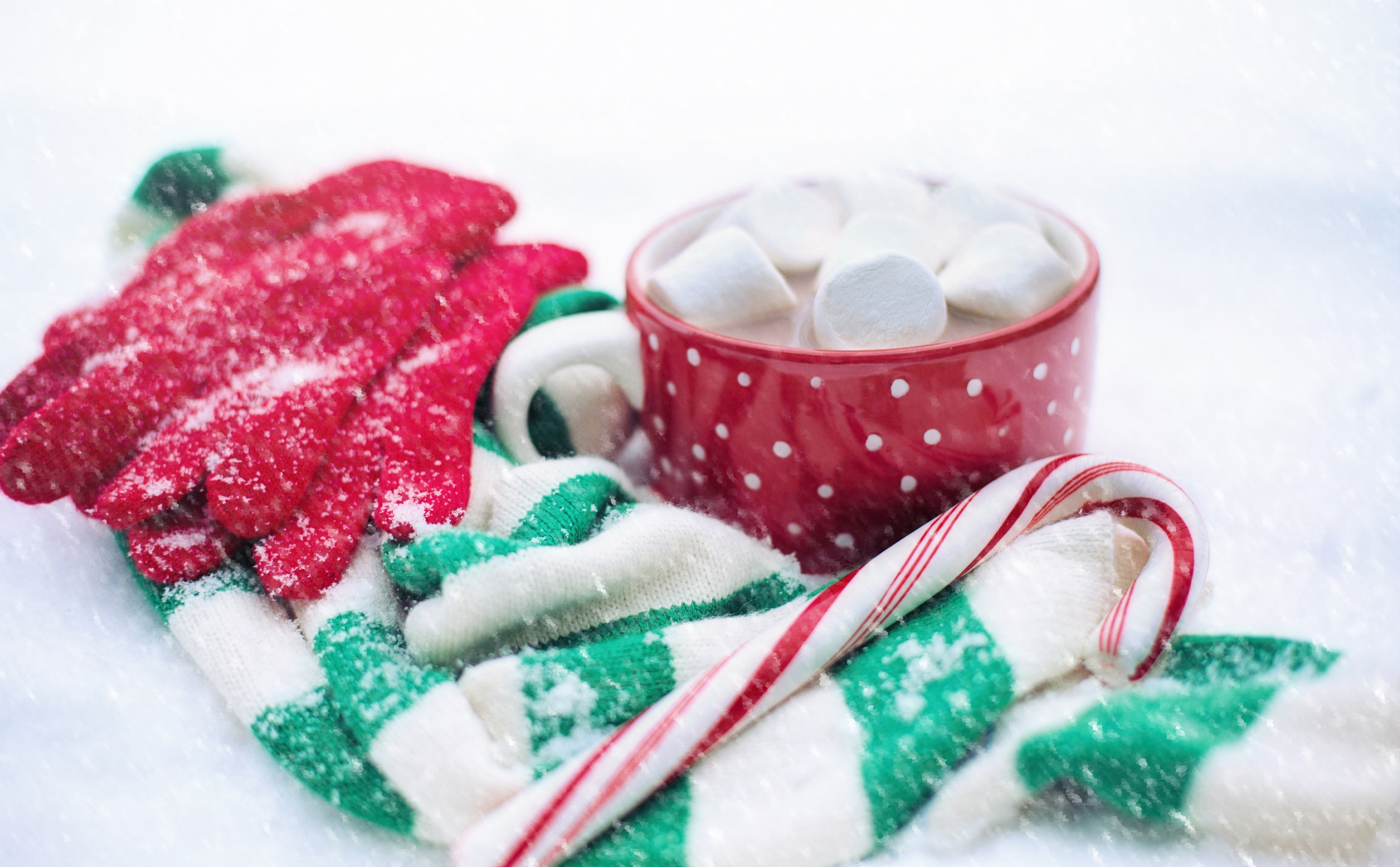 Wonderland, Merry, Cozy, Tradition, endoftheyear, beverage, Snow, CandyCane, Snowfall, delicious, newyear, hotchocolate, Outdoor, Amazing, Snowy, Sweet, HD Wallpaper