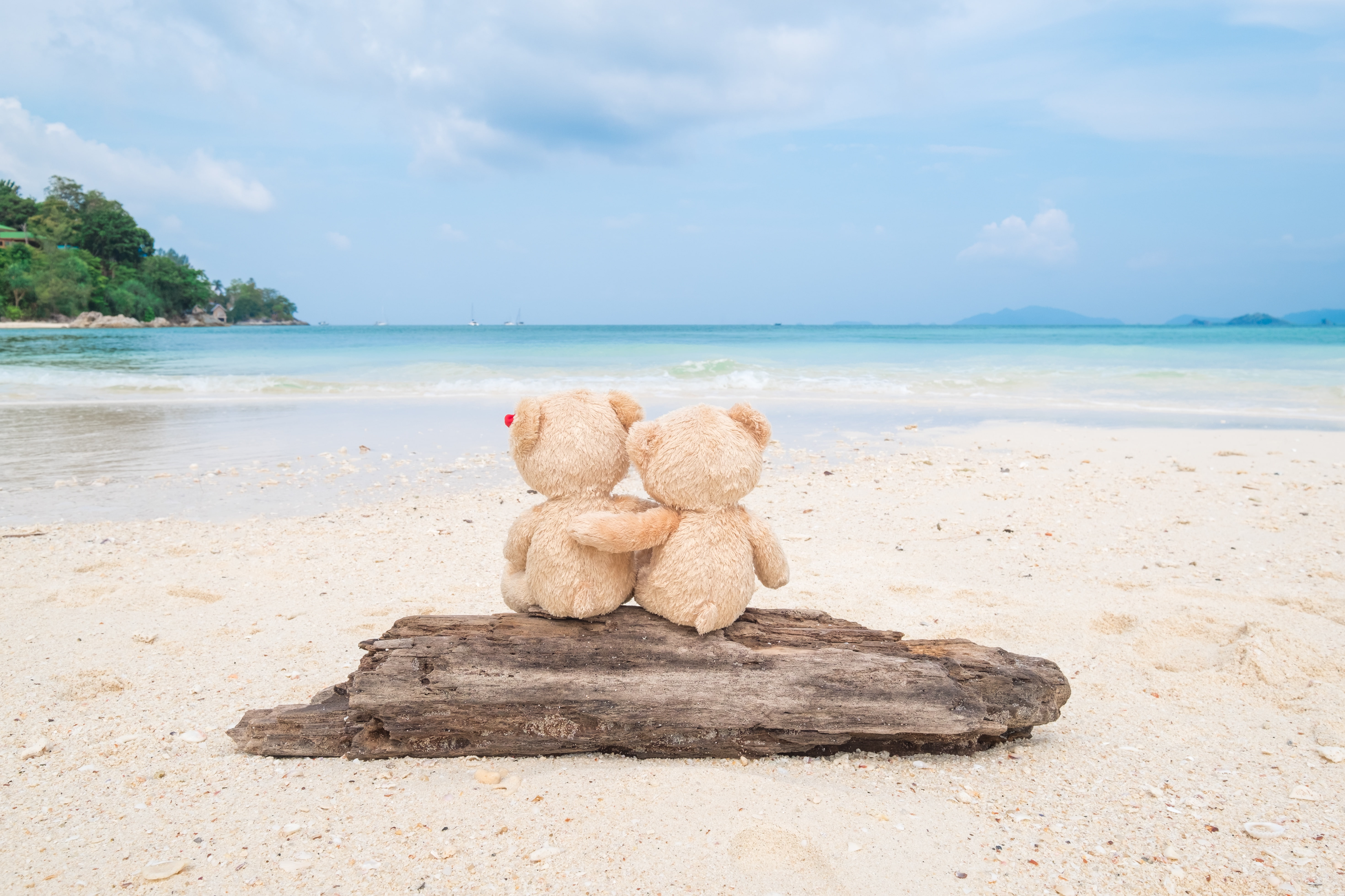 cute, Board, teddy, couple, romantic, beach, bear, toy, sand, pair, 5K, sea, love, two, HD Wallpaper