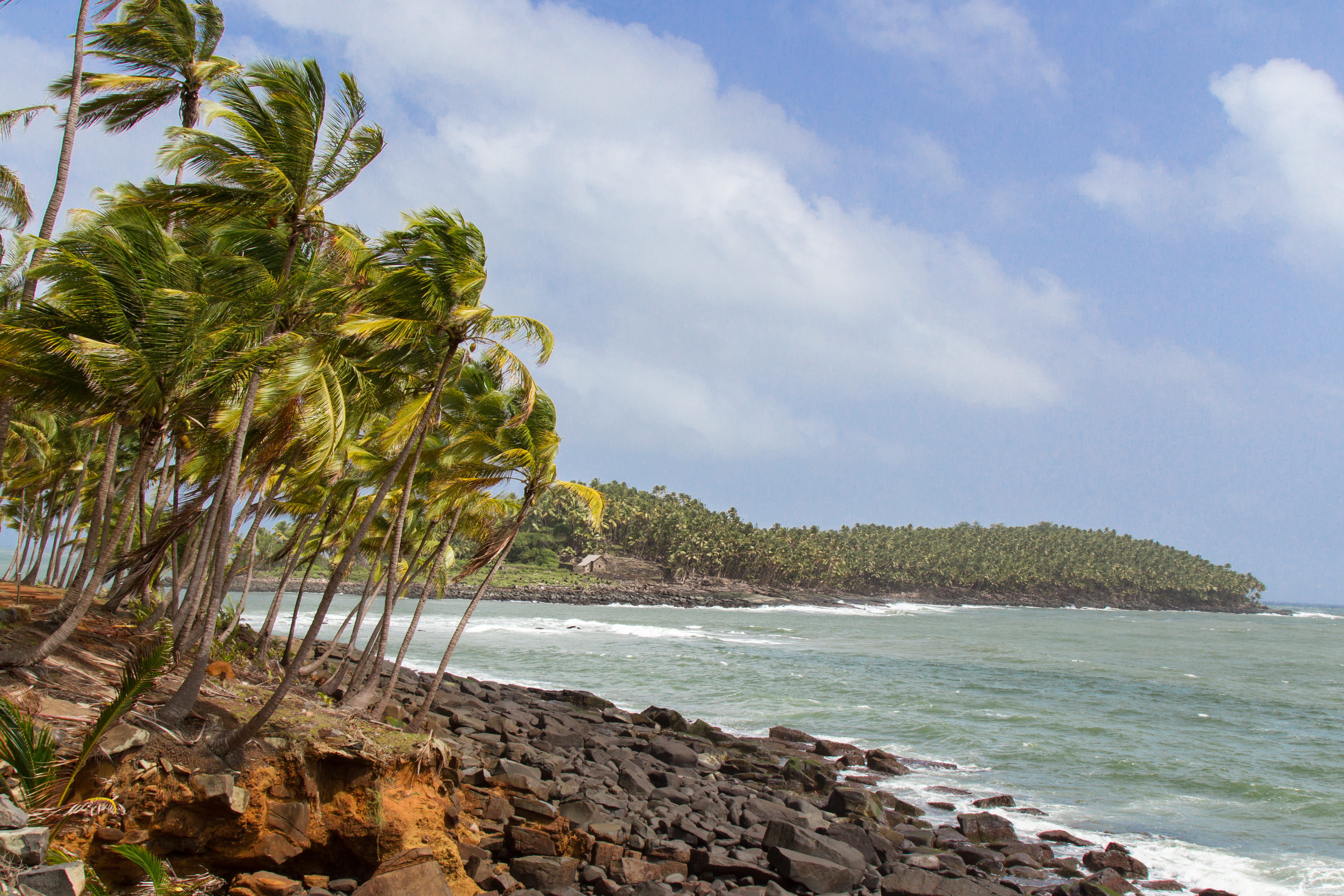 land, guyana, day, rock, îles du salut, 4K, sea, guyane, outdoors, tropical tree, plant, coconut palm tree, tropical climate, france, palm tree, beauty in nature, HD Wallpaper