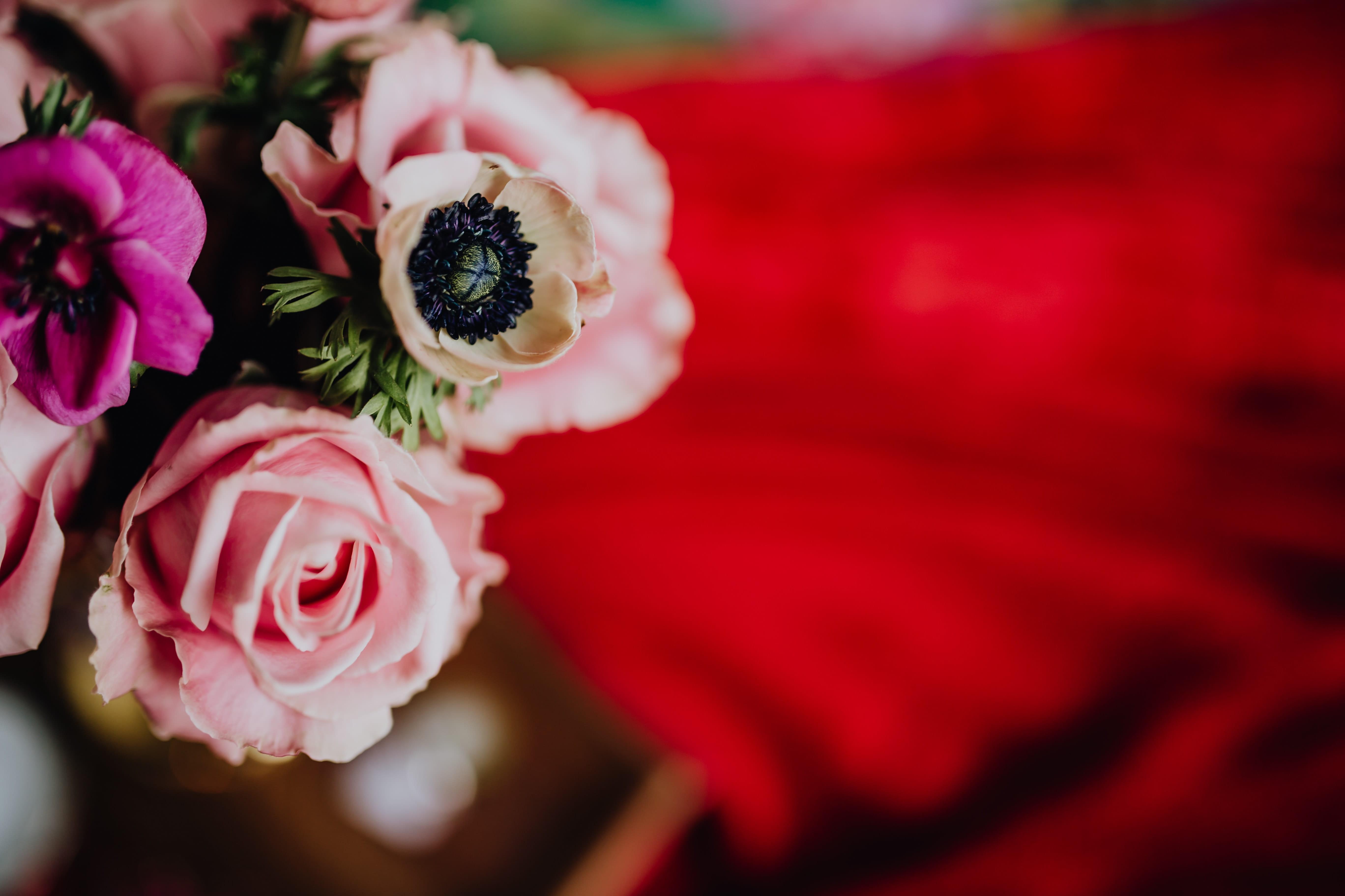 flowering plant, flower arrangement, pollen, fragility, 5K, freshness, bouquets, nature, inflorescence, flower head, beauty in nature, valentines, flower, HD Wallpaper