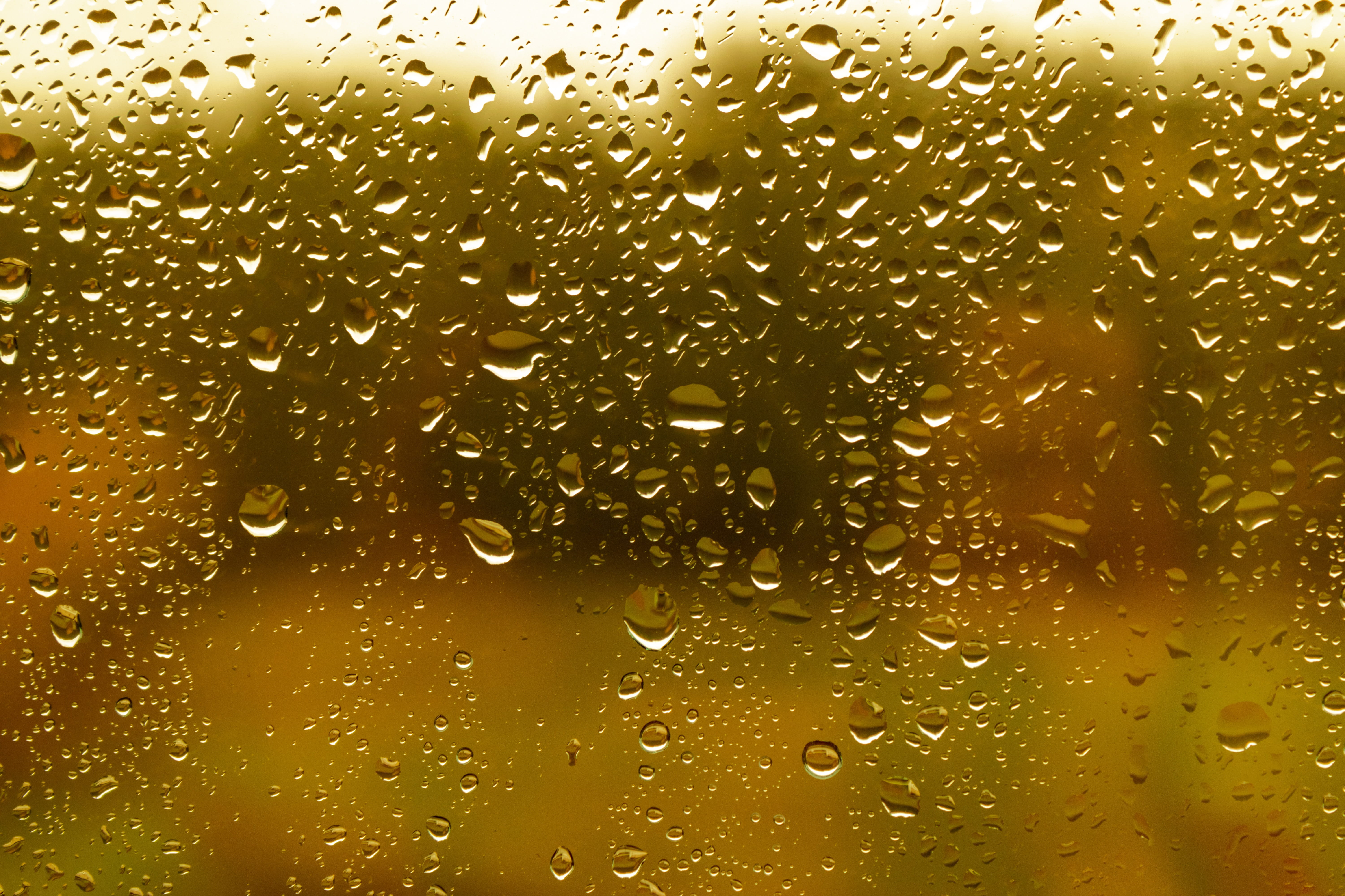 close-up, alcohol, soda, rain, indoors, yellow, background, window glass, full frame, refreshment, no people, drink, drop, 5K, beaded, window, glass, food and drink, HD Wallpaper