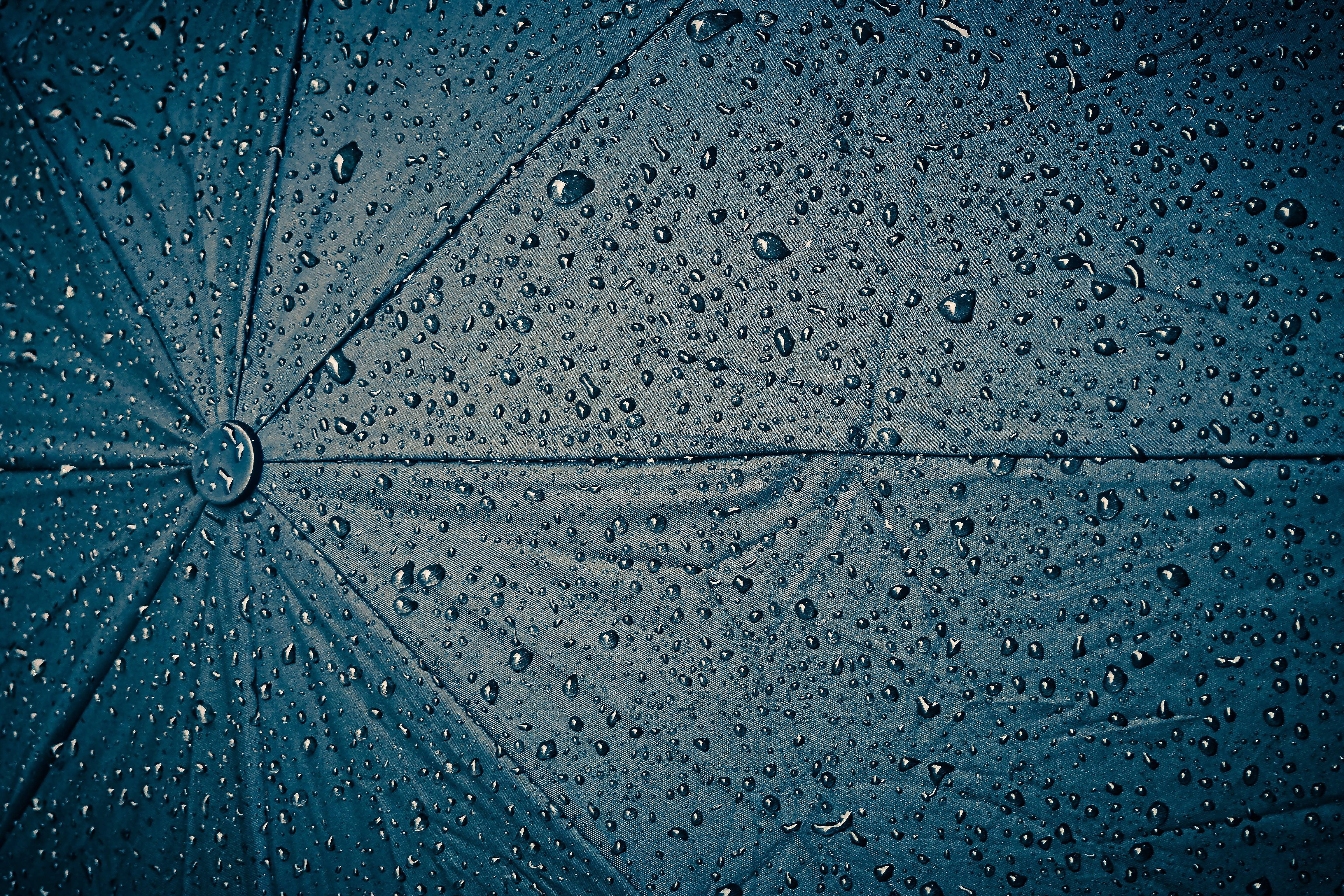 rain, umbrella, weather, raindrop, 4K, screen, wet, HD Wallpaper