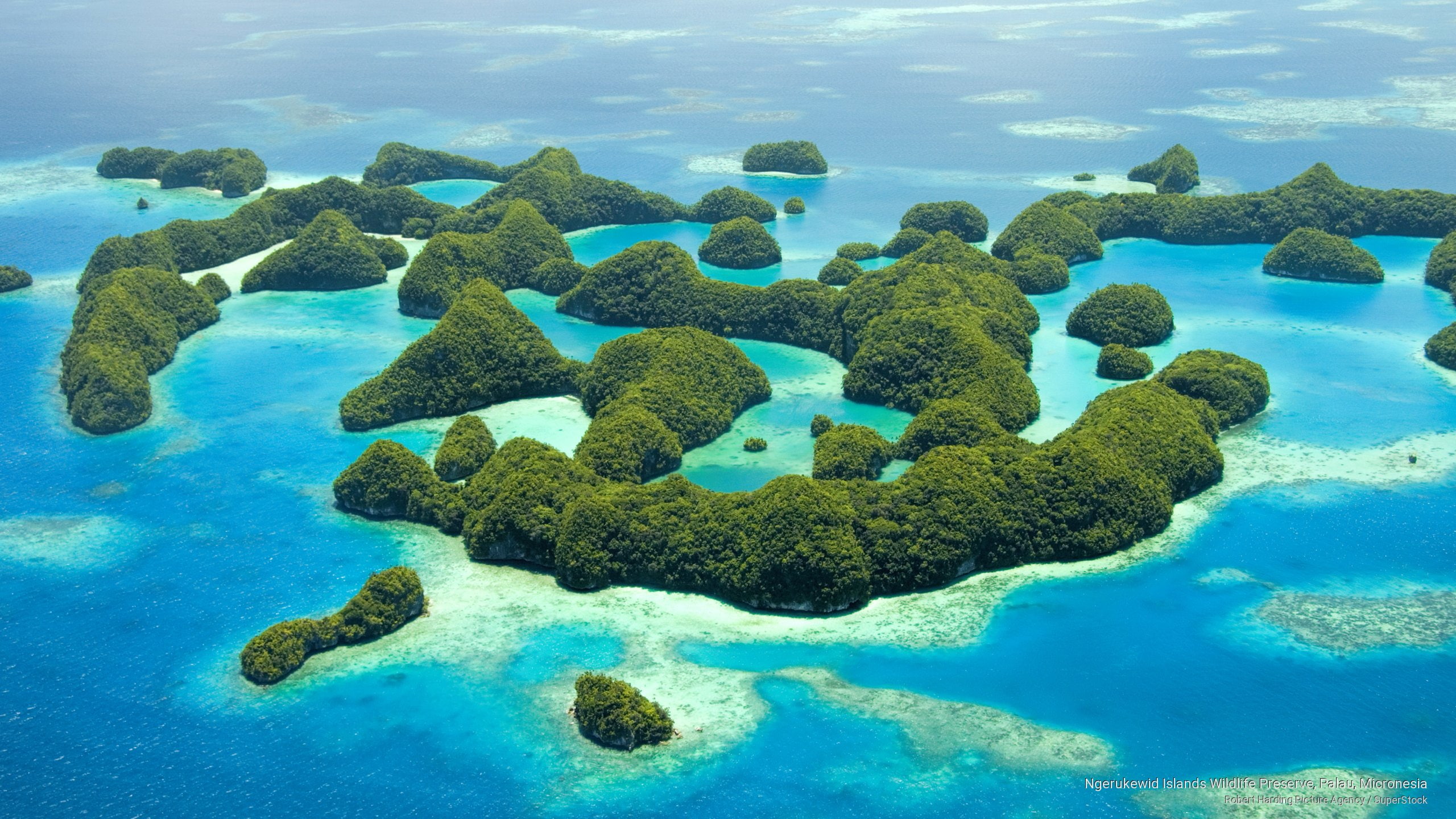 ngerukewid, 2K, wildlife, preserve, micronesia, palau, Islands, HD Wallpaper