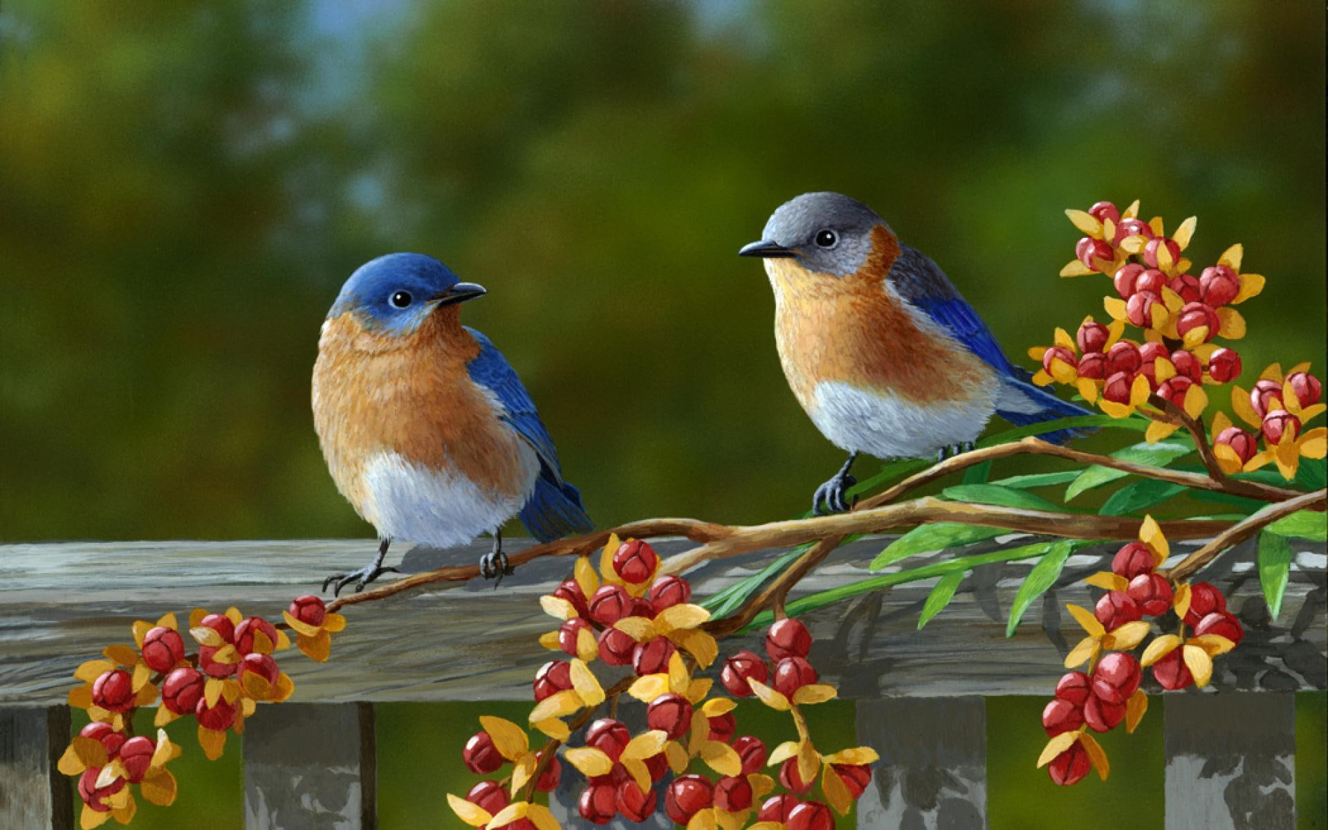 flowers, 1080P, beautiful, pair, birds, colorful, animals, HD Wallpaper