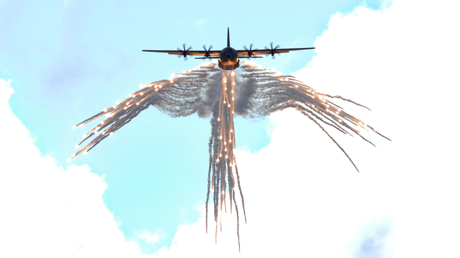 1080P, animal wing, cloud - sky, animal, animal wildlife, flying, aircraft, animal themes, insect, low angle view, nature, invertebrate, Lockheed C-130 Hercules, HD Wallpaper