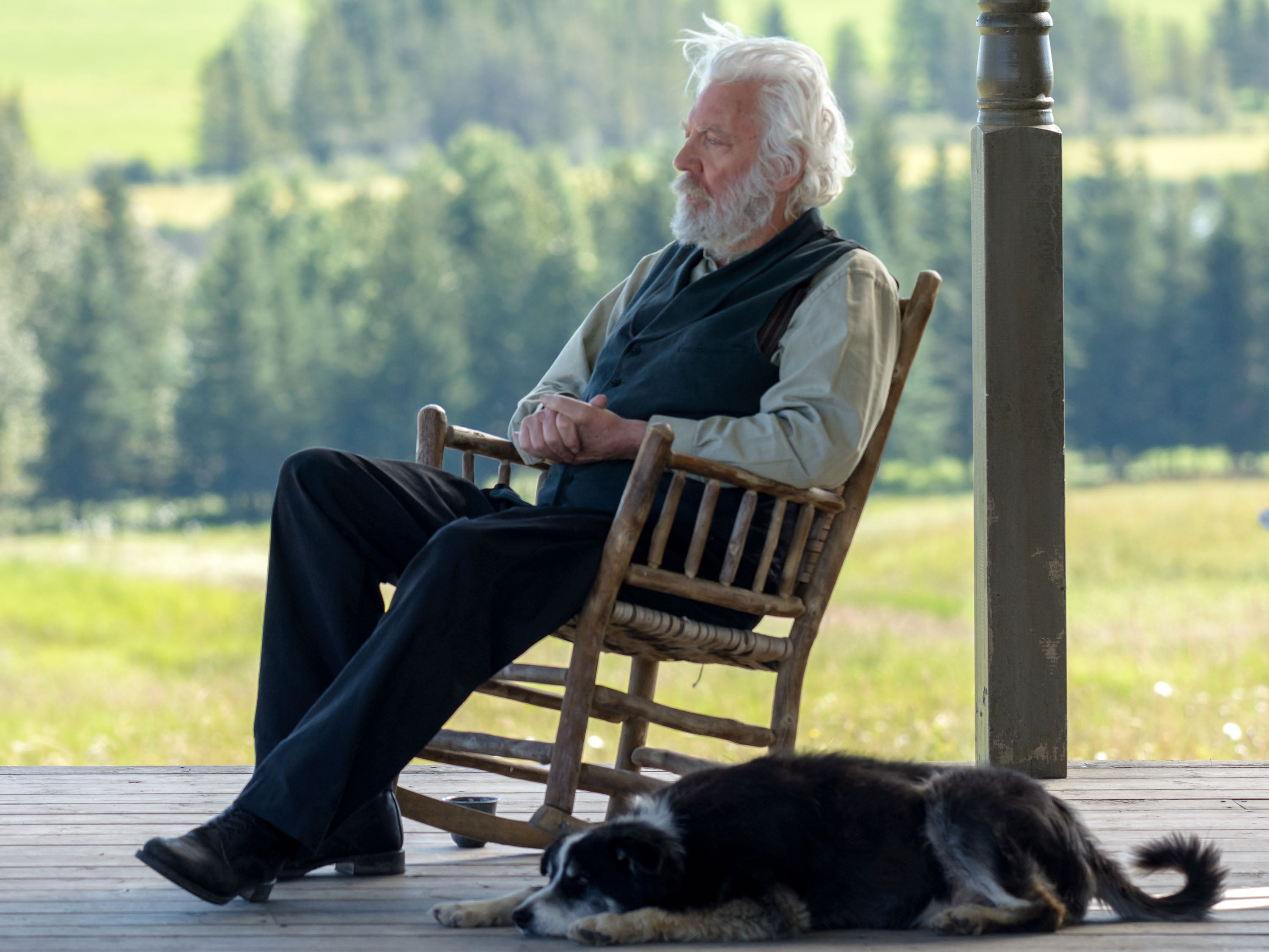dog, looking, men, males, retirement, pet owner, lifestyles, relaxation, sitting, rocking, summer, armchair, one Person, senior Adult, white Hair, wrinkled, HD Wallpaper