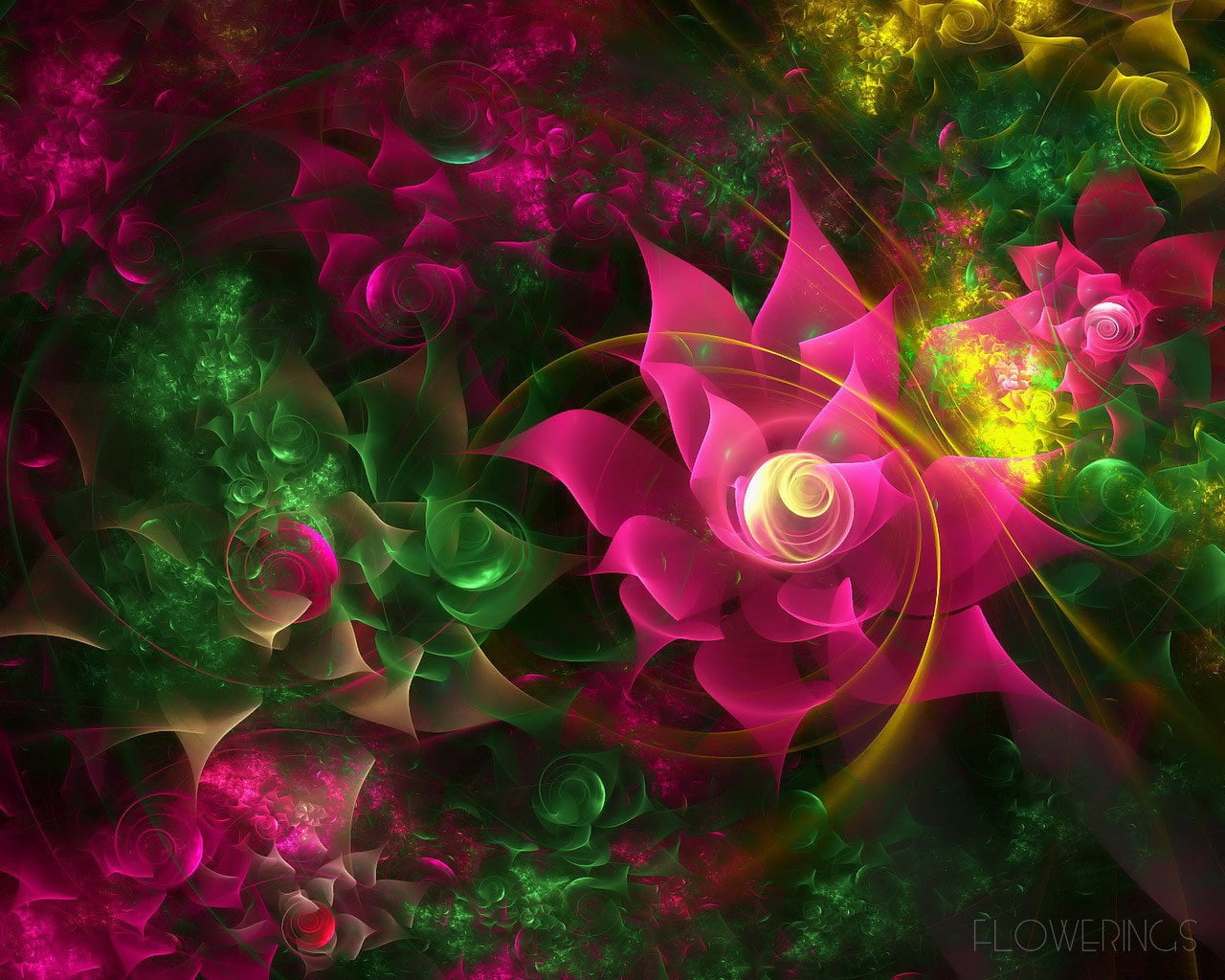 swirl, water, imagination, curve, pink color, motion, fragility, color Image, purple, fractal, plant, flower head, nature, flowers, design, pattern, green Color, HD Wallpaper