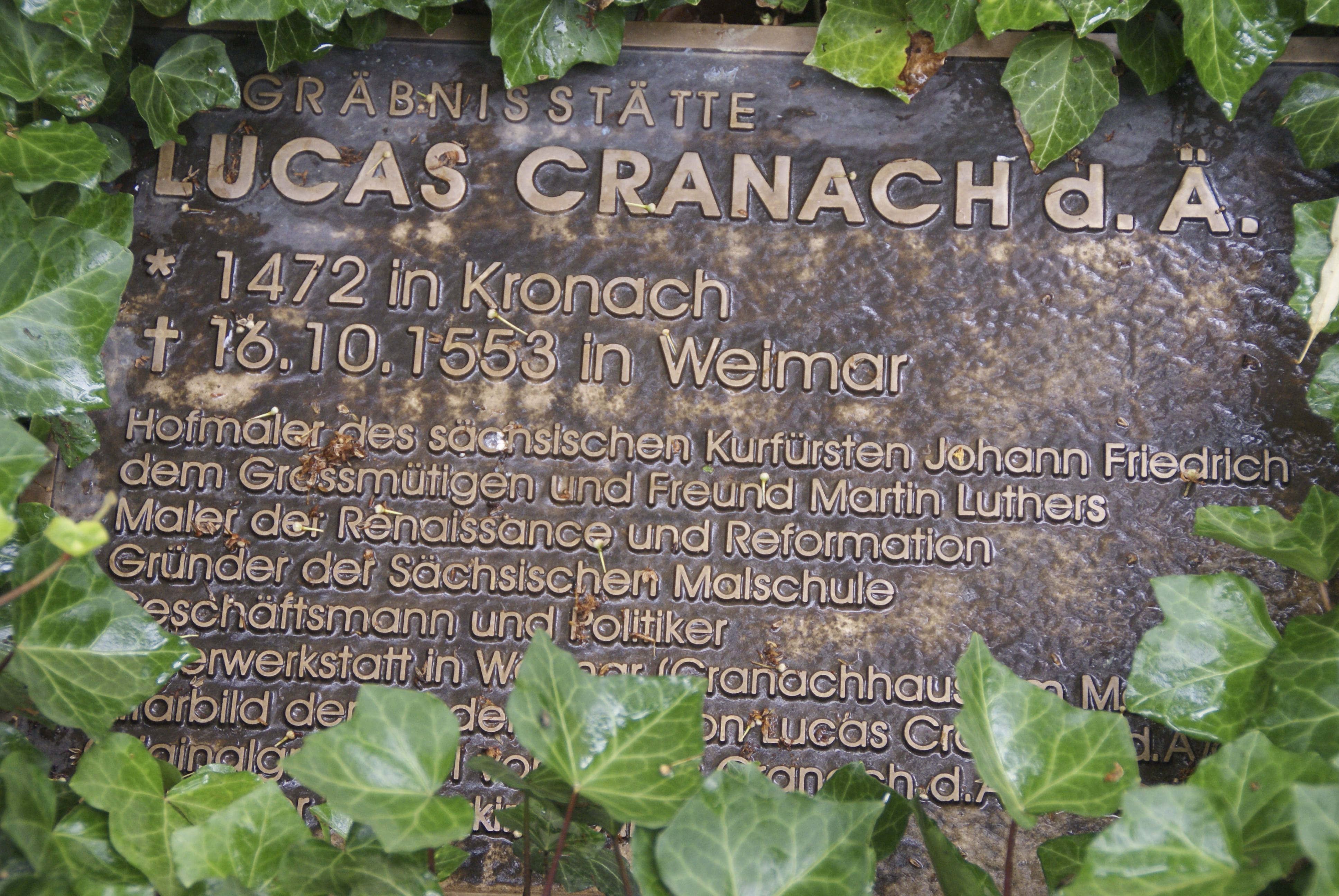 text, close-up, lucas cranach-grab, sign, tombstone, information, note, food, day, plant part, growth, bronze, nature, 4K, outdoors, vegetable, western script, HD Wallpaper