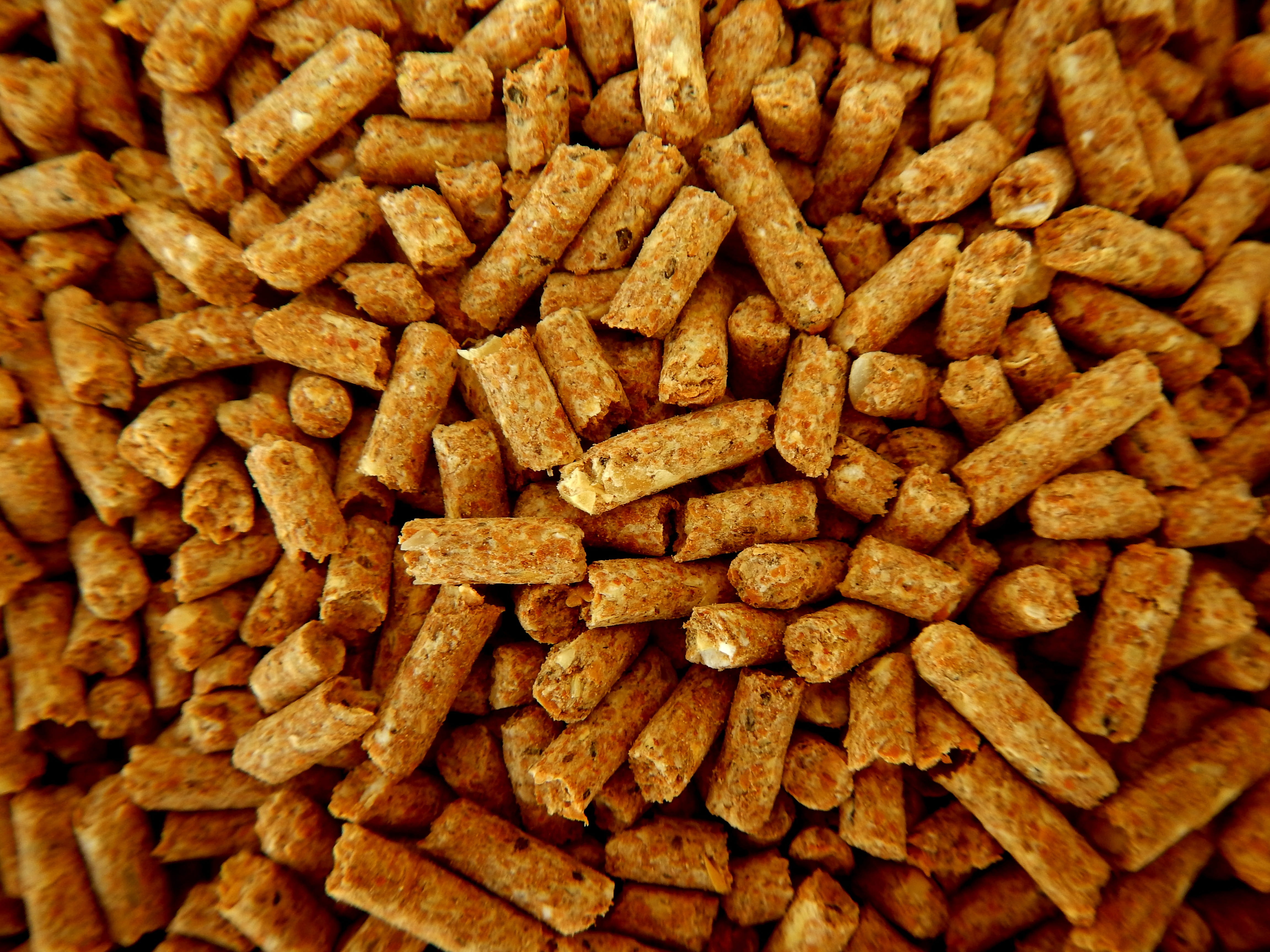 ingredient, heap, 4K, large group of objects, close-up, backgrounds, detail, wellbeing, stack, snack, dried food, pellets, still life, abundance, full frame, HD Wallpaper