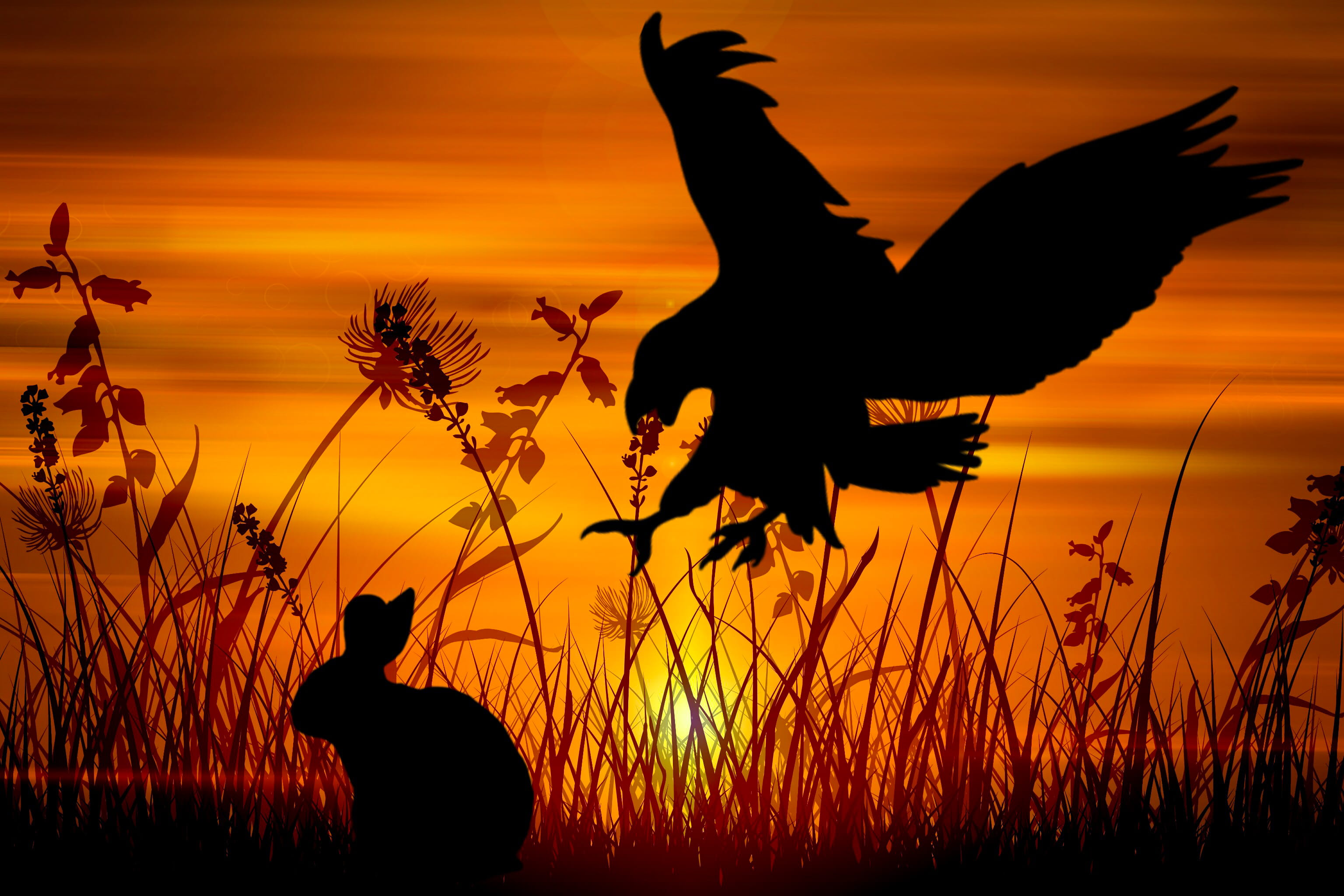grass, creature, silhouette, vertebrate, one person, wall, orange color, hunting, rabbit, wildlife, ornament, sky, eagle, sunset, halme, hunt, cloud - sky, HD Wallpaper
