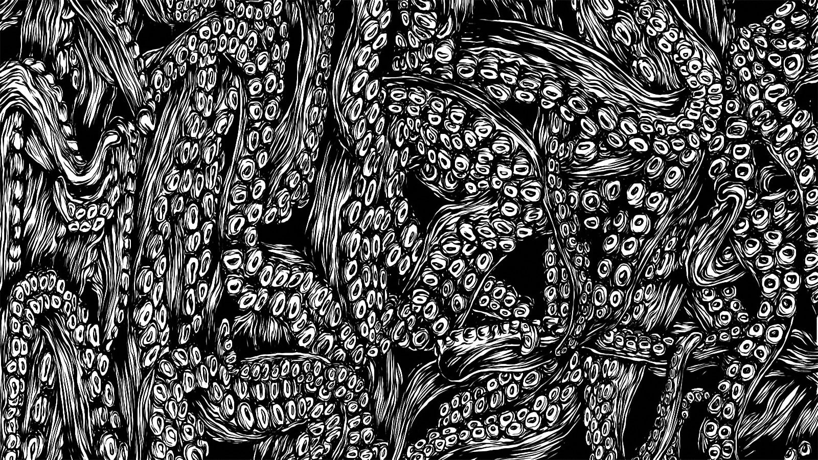 white, black, 720P, octopuses, thorax, HD Wallpaper
