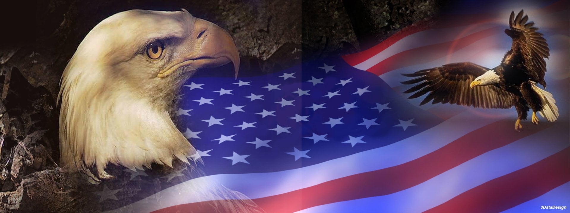 government, eagle - bird, patriotism, star shape, 1080P, bird of prey, animal wildlife, animal body part, outdoors, Misc, shape, nature, Patriotic, animal, HD Wallpaper