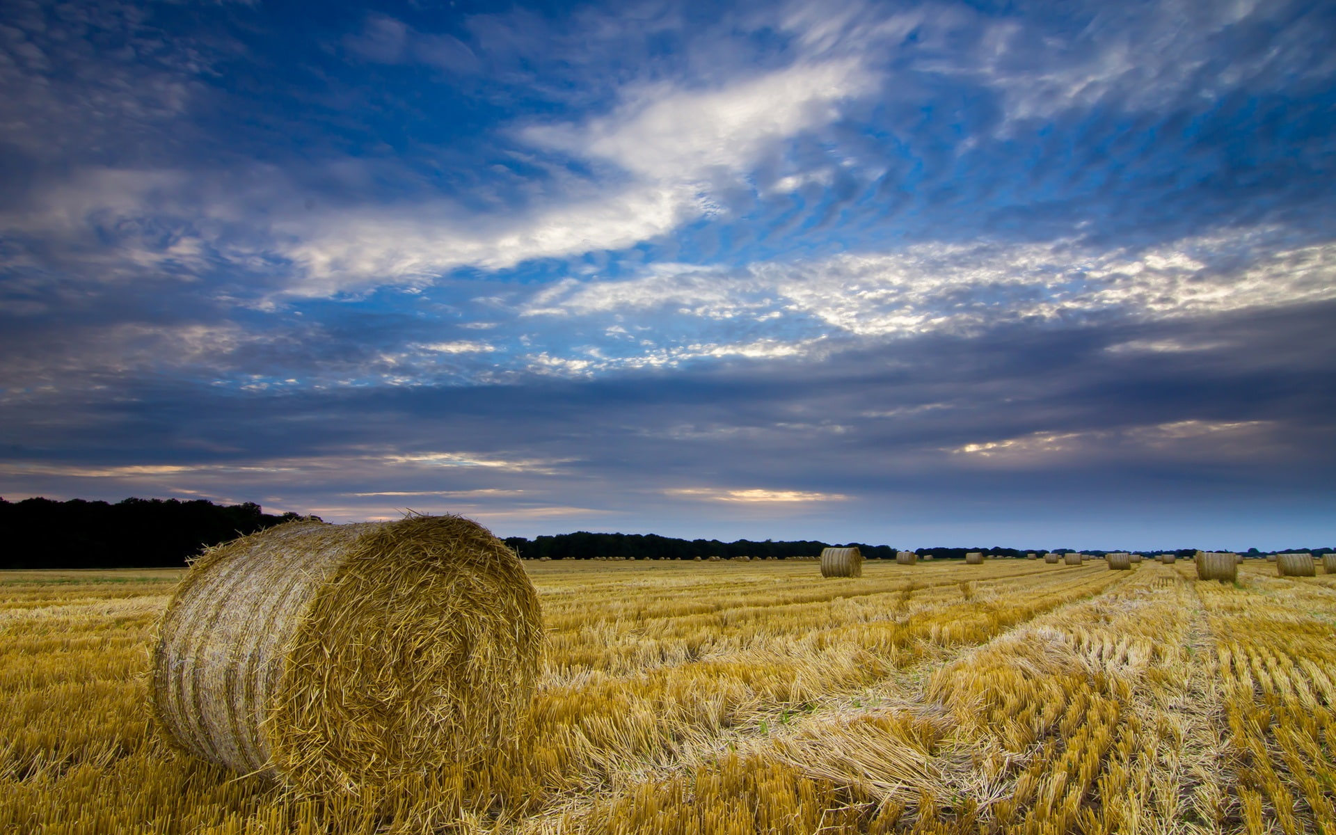 United, Field, Kingdom, Sky, Countryside, Blue, 1080P, Straw, Norfolk, brown, England, Hay, HD Wallpaper