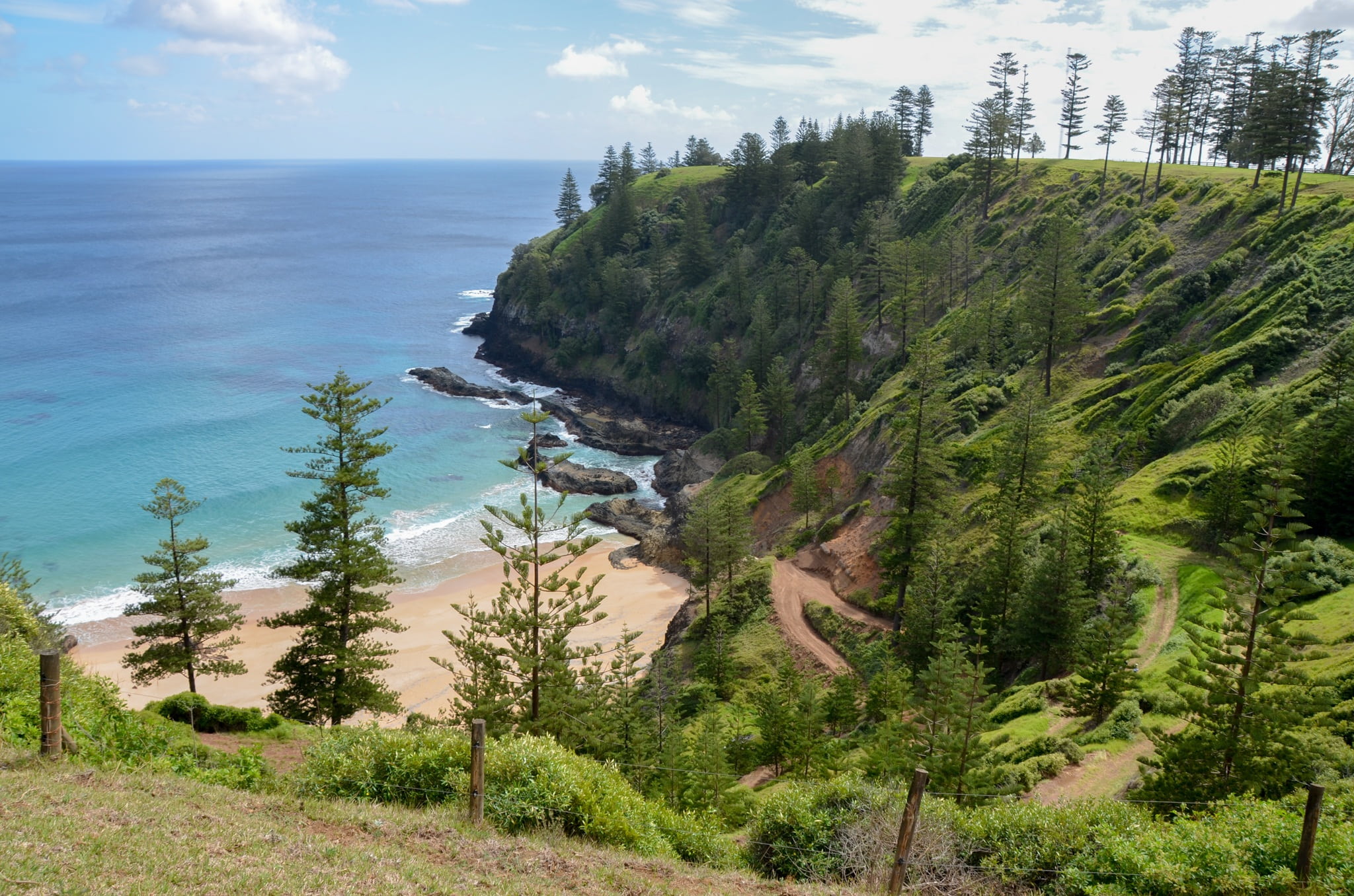 sea, beauty in nature, anson bay, scenery, water, sky, plant, tranquil scene, scenics - nature, ocean, coniferous tree, green color, high angle view, outdoors, HD Wallpaper