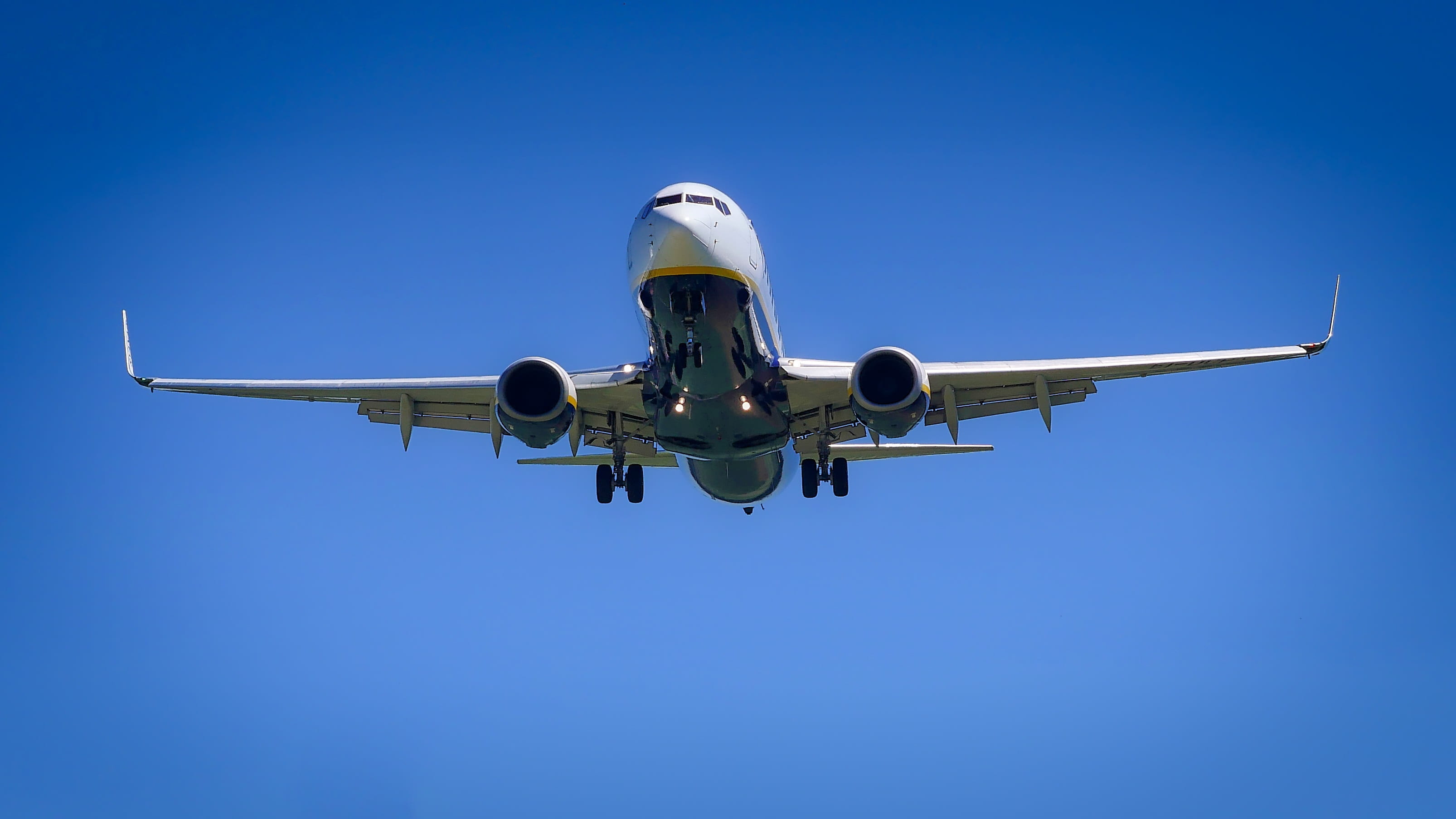 fly, arrival, journey, business travel, sunny, mid-air, landing, above, nature, daytime, commercial airplane, air, aircraft wing, flying, front view, white, HD Wallpaper