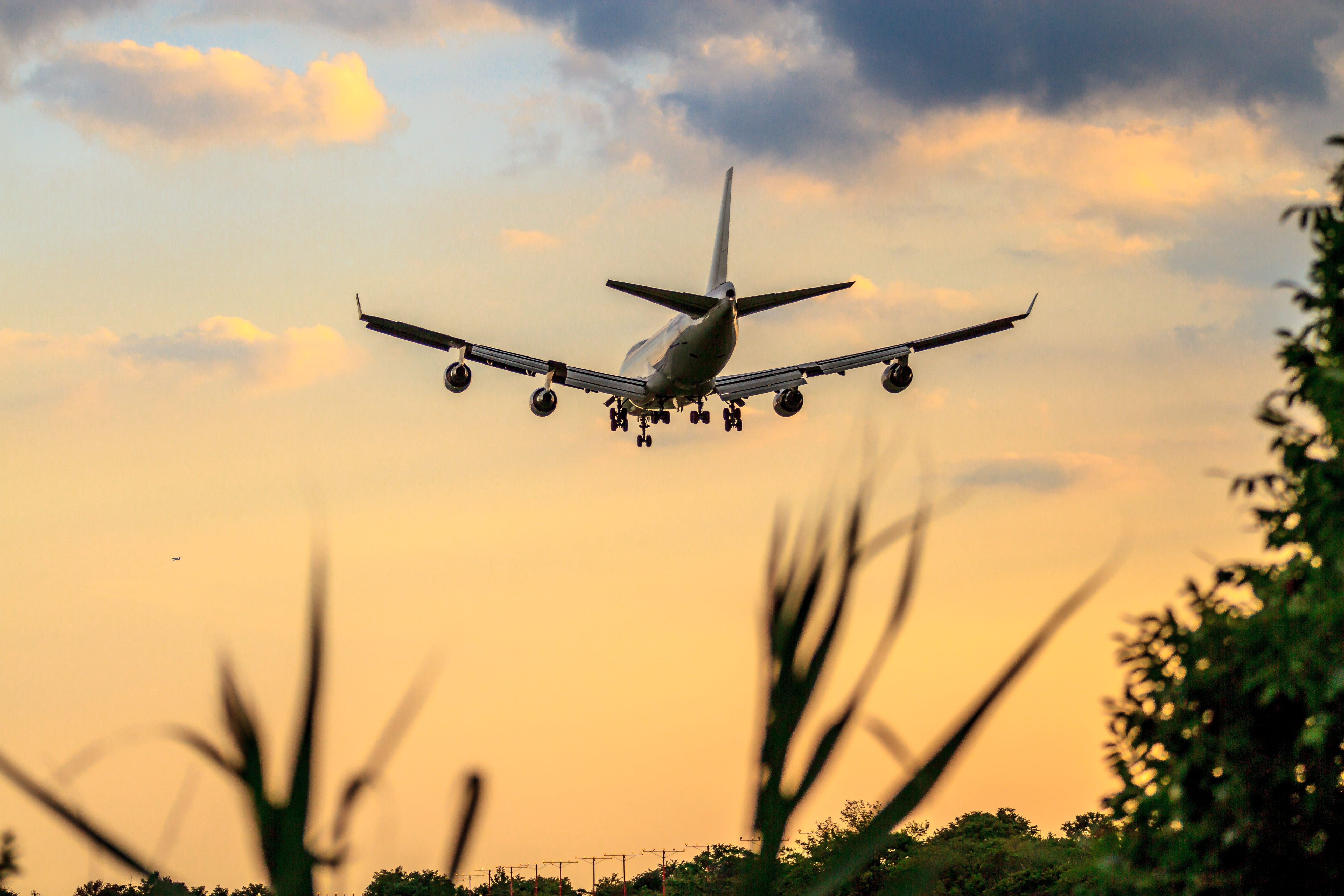 jfk airport, airport, air vehicle, plant, ny airport, travel, aerospace industry, flying, outdoors, flight, low angle view, summer, sky, airline, mid-air, HD Wallpaper