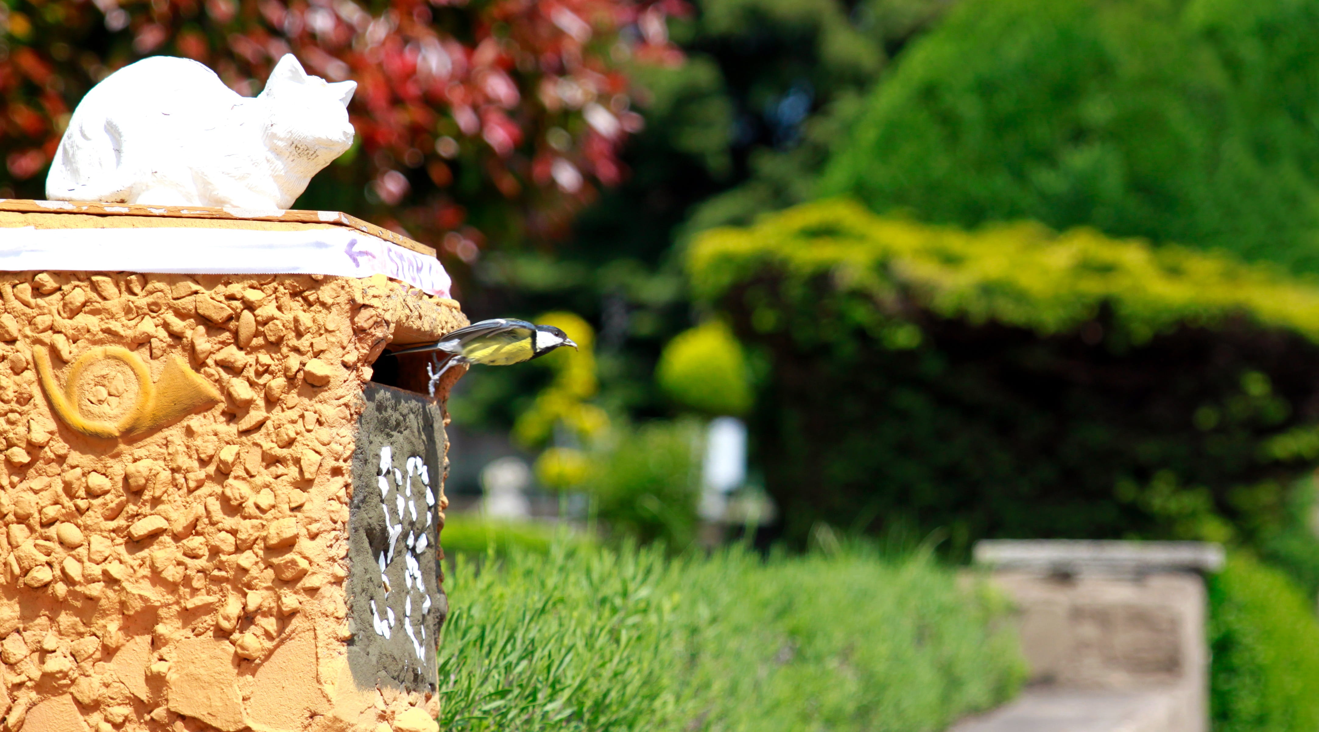 grass, outdoors, day, fly away, jar, focus on foreground, birds, formal Garden, Fly, yellow, close-up, songbird, Feed, park, animal themes, cute, Flight, HD Wallpaper