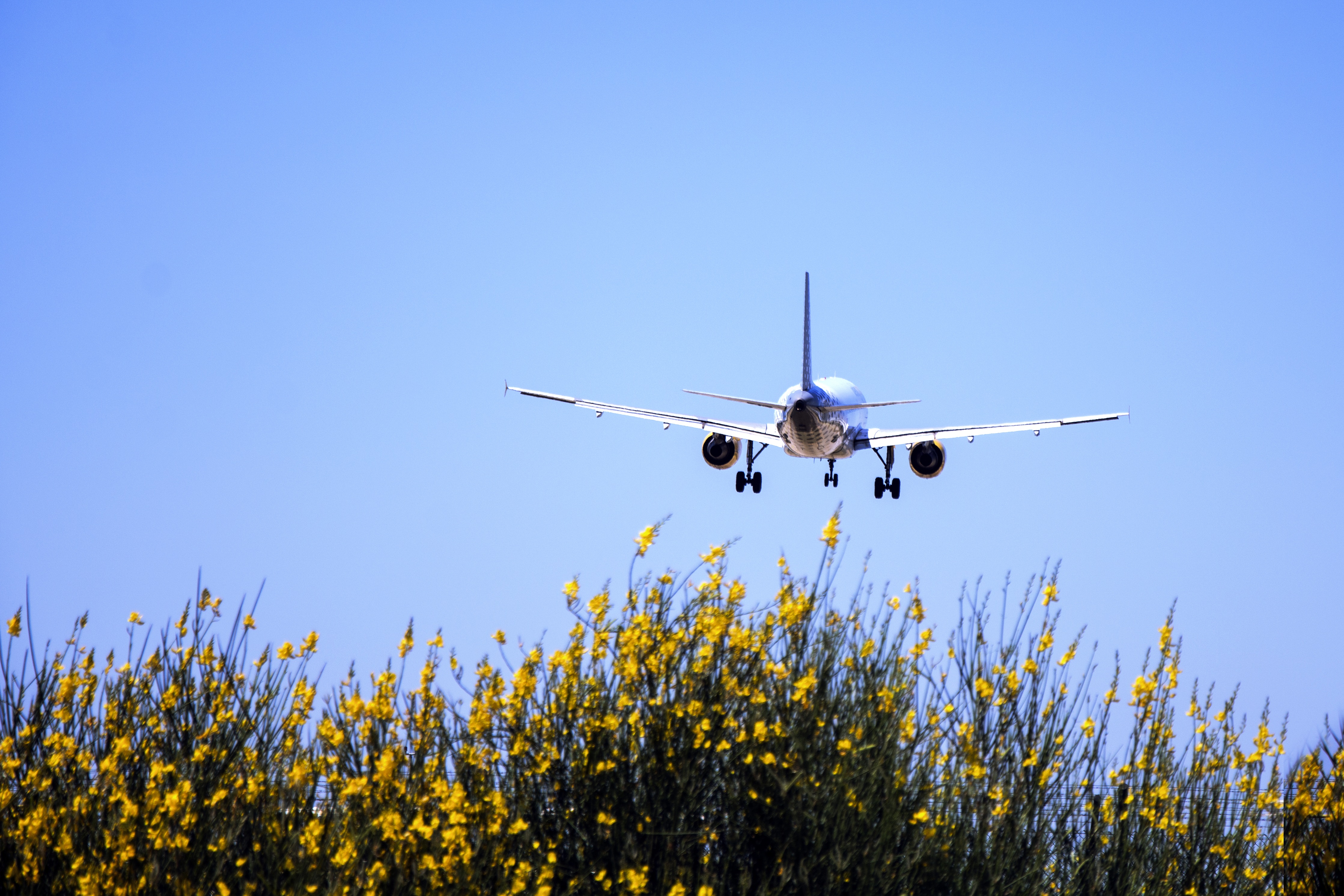 transportation, el prat, mode of transportation, on the move, day, nature, flying, 4K, journey, no people, outdoors, landing - touching down, sky, aerospace industry, HD Wallpaper