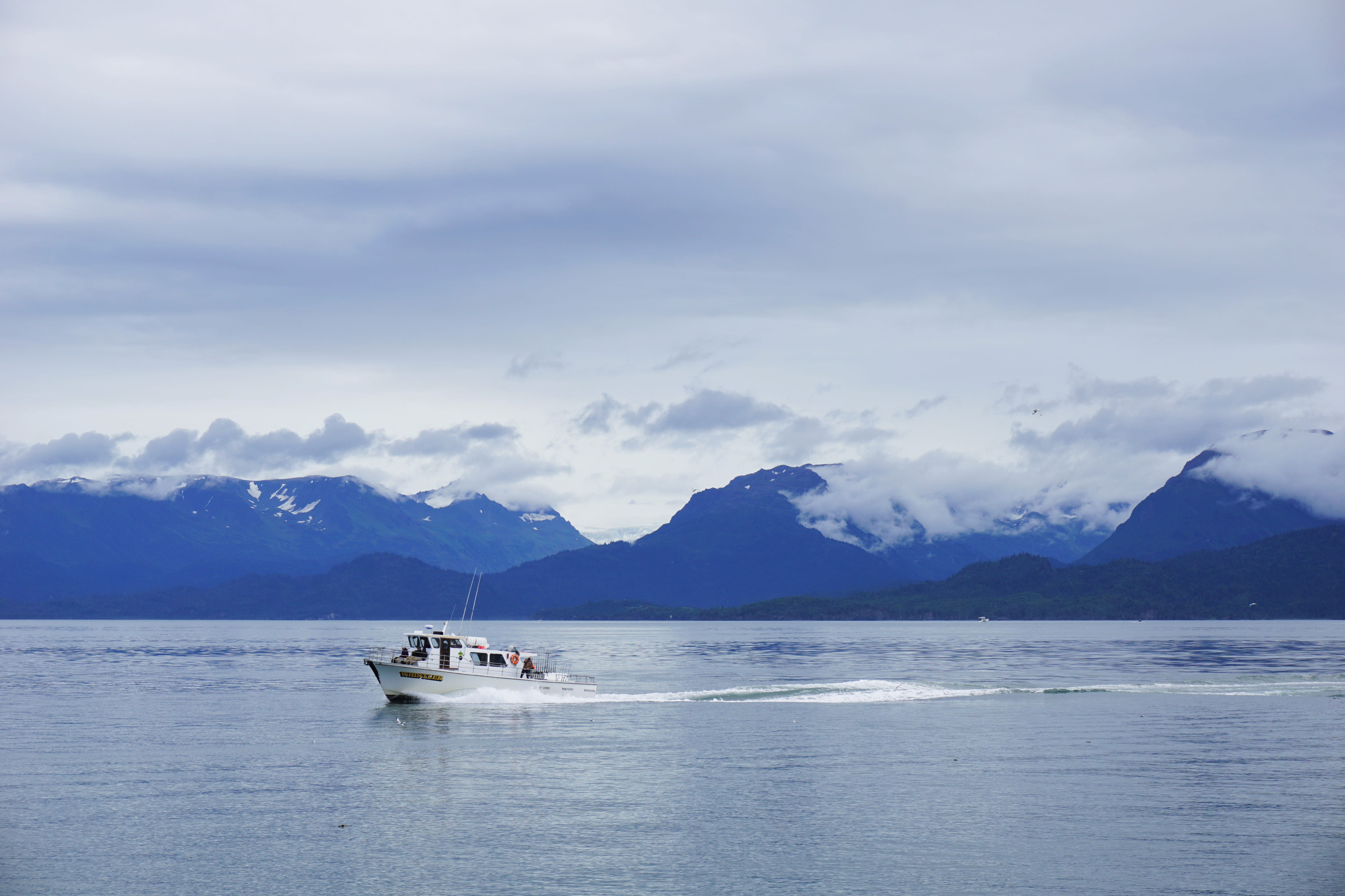 hydrofoil, view, mode of transportation, outdoors, tranquility, homer, cloud - sky, white, near, mountain range, adventure, water, alaska, sky, scenics - nature, HD Wallpaper