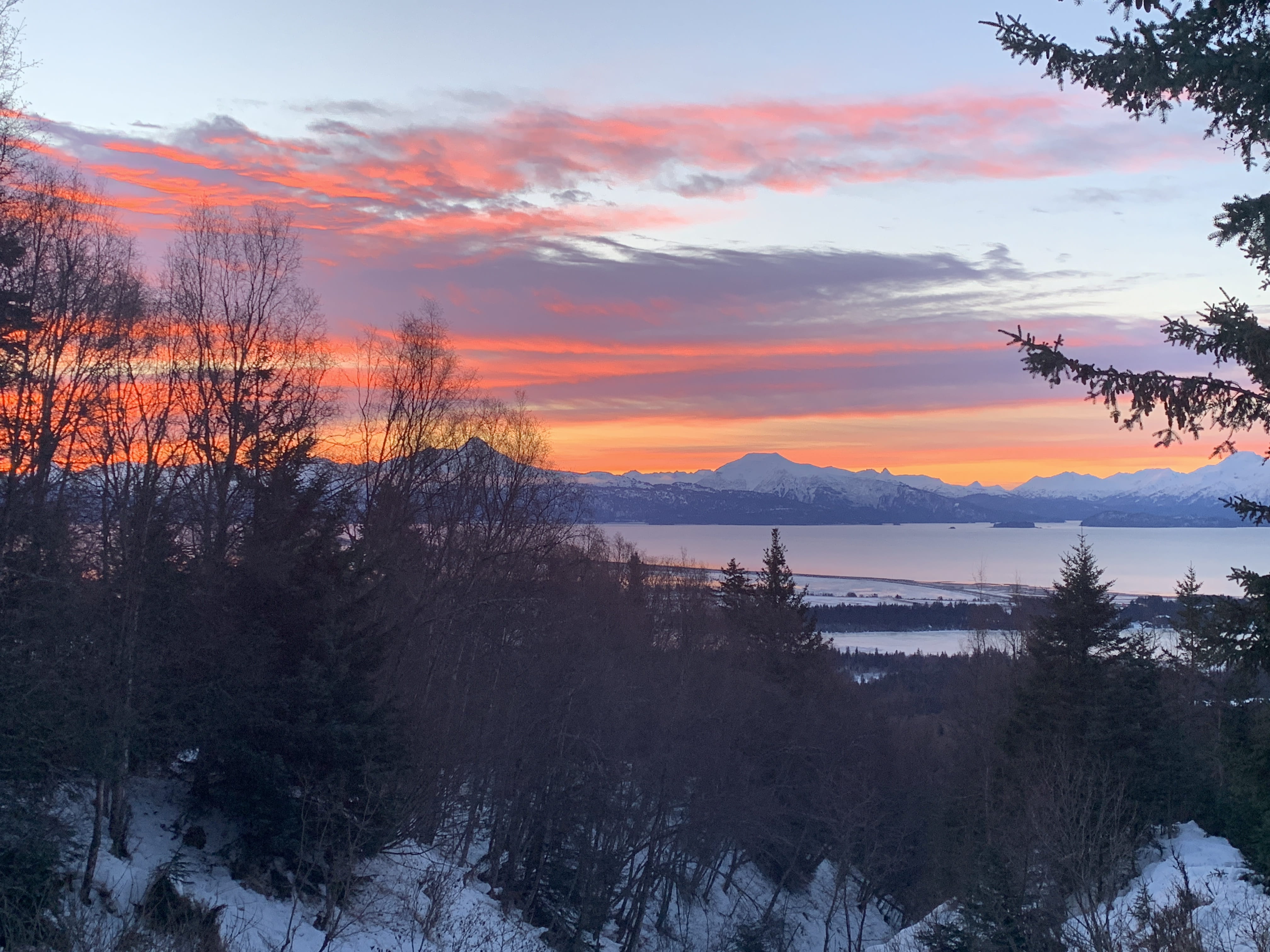 idyllic, beauty in nature, 4K, sky, tranquil scene, alaska, no people, pink sky, environment, tree, non-urban scene, sunset, growth, cloud - sky, tranquility, HD Wallpaper
