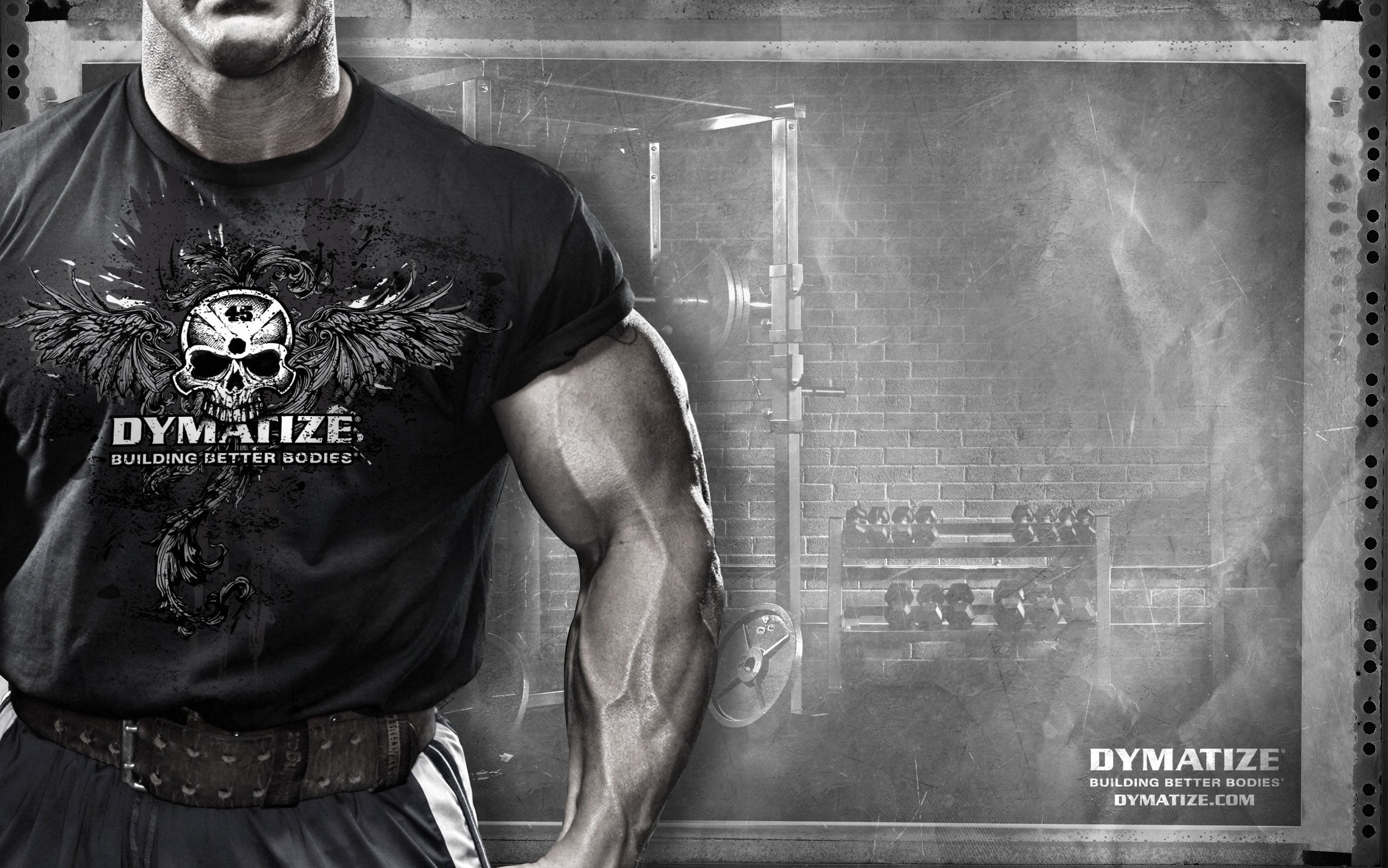 sportpit, bodybuilding, andy, muscle, sports, fitness, skull, haman, dymatize, 2K, HD Wallpaper