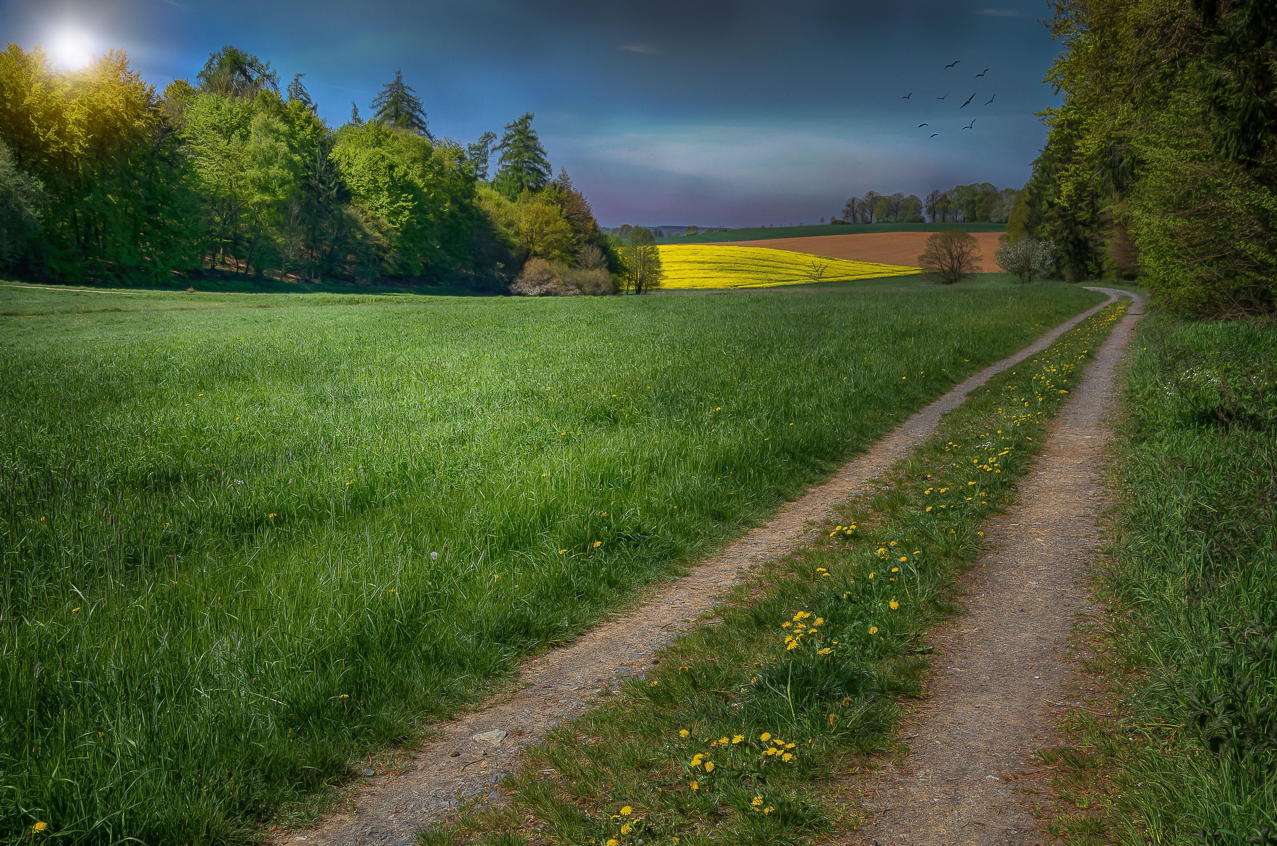 mood, soaring, 4K, beauty in nature, tranquil scene, crop, rural scene, green grass, empty, field, environment, tranquility, land, grass, green color, HD Wallpaper