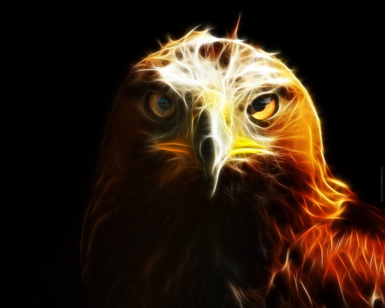photomanipulation, animals, 720P, eagles, x, BIRDS, portrait, art, fractalius, hd, faces, HD Wallpaper