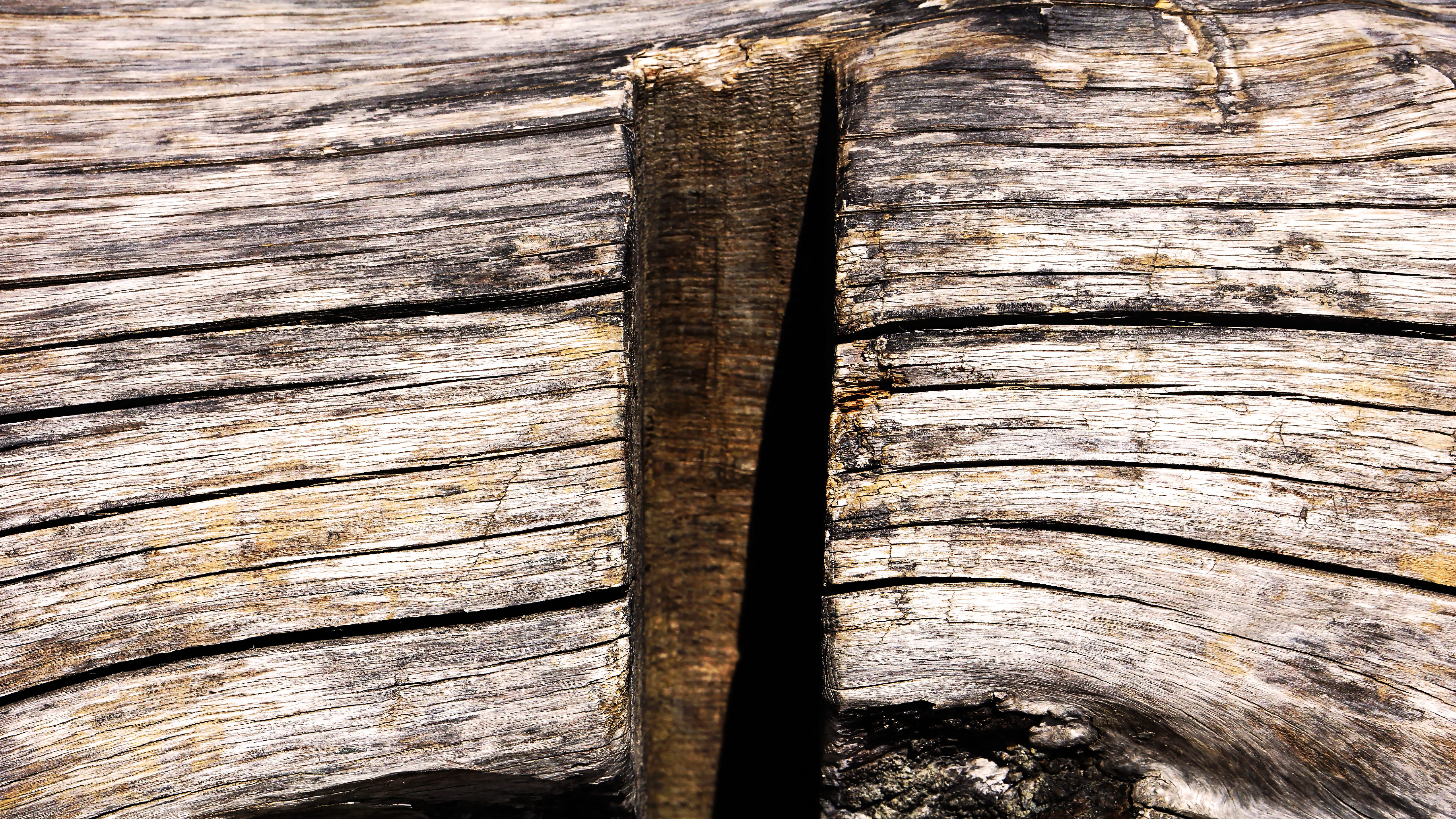nature, full frame, pattern, bird, clothing, wood - material, tar, textured, table, plywood, high angle view, archaeology, no people, apparel, animal, day, HD Wallpaper