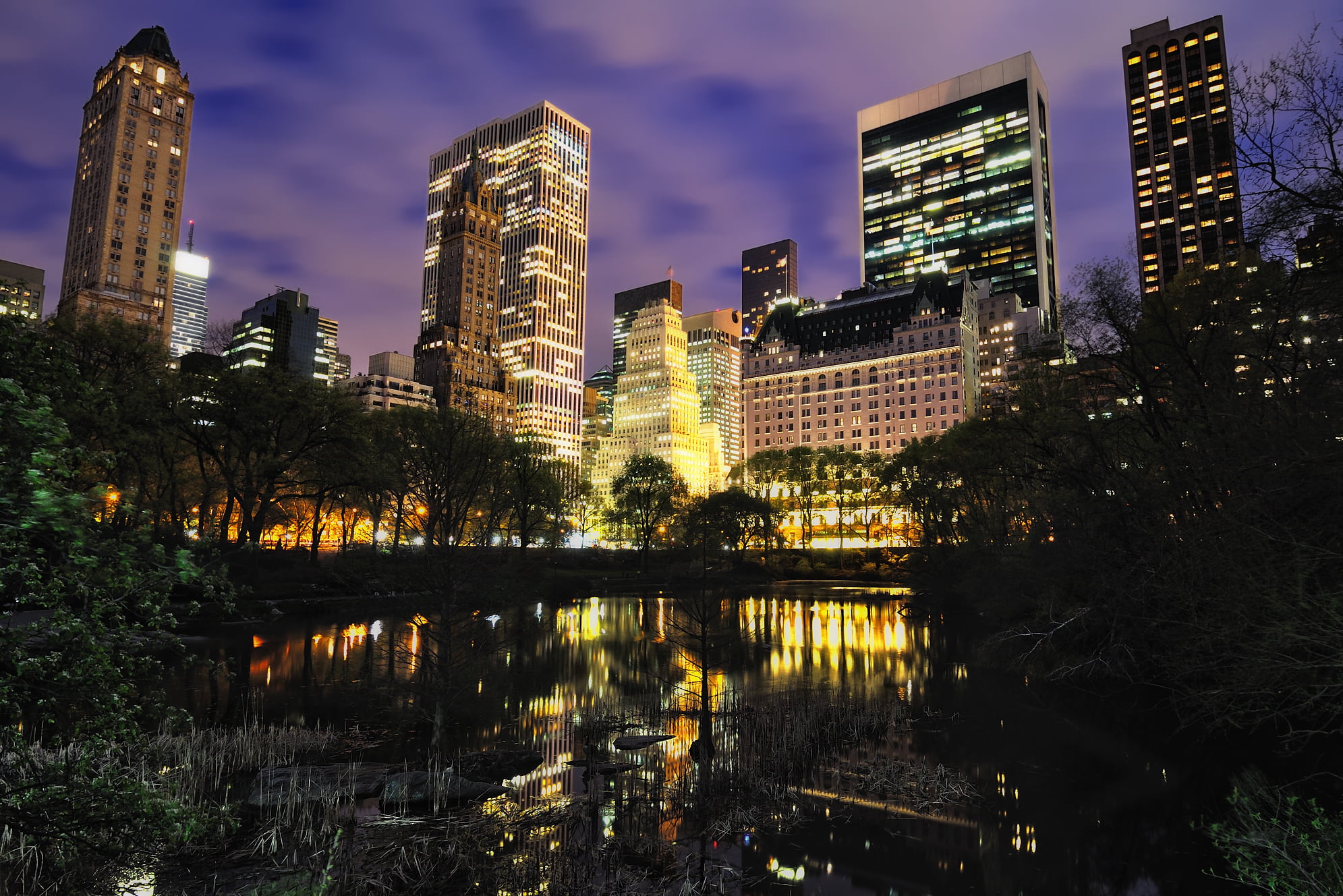 the city, sky, city, 1080P, outdoors, financial district, plant, office building exterior, built structure, Manhattan, clouds, tree, night, high-quality photos of new York, HD Wallpaper