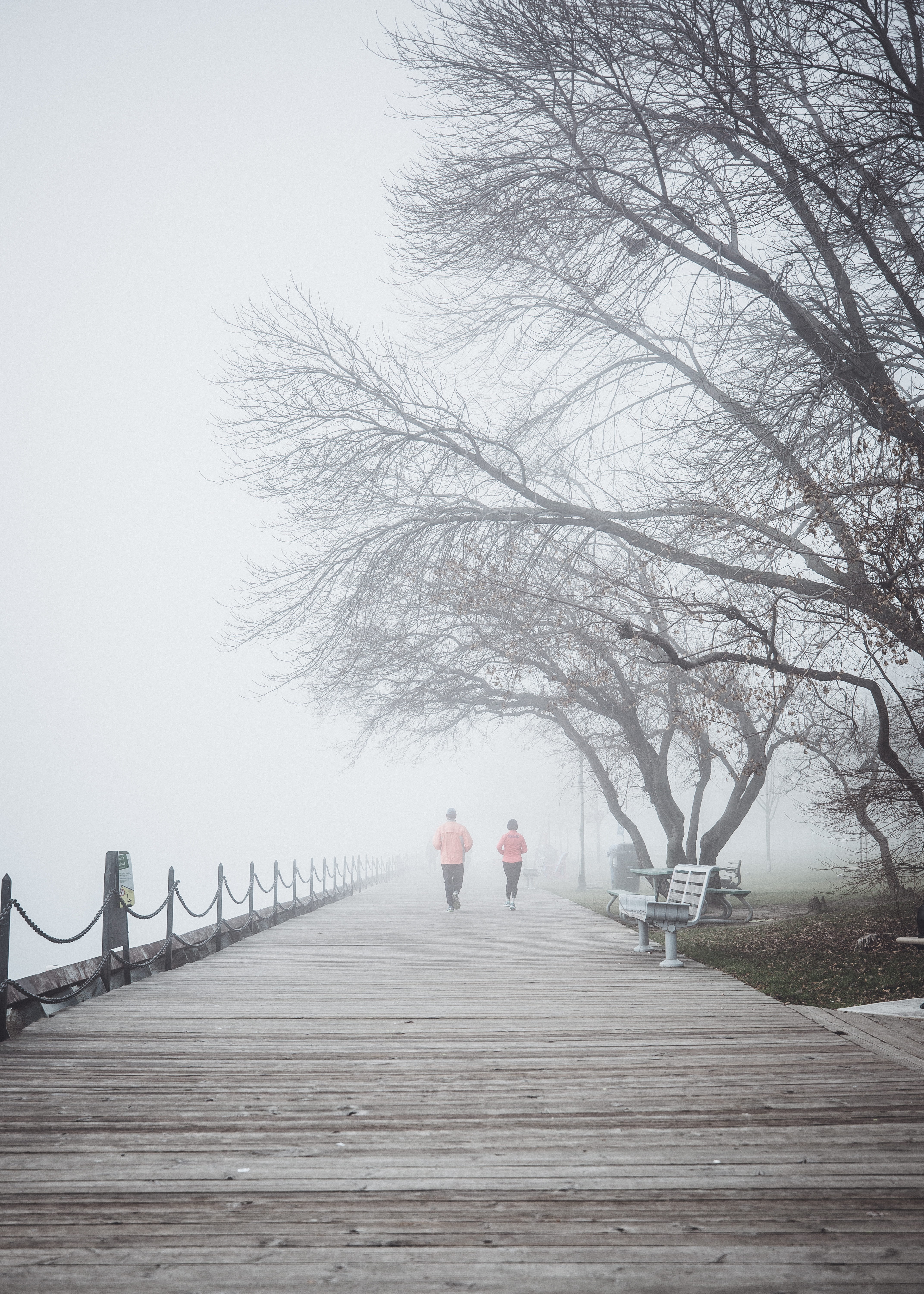 full length, canada, plant, corus entertainment, sport, healthy, lifestyle, diminishing perspective, bridge - man made structure, toronto, foggy, scenic, Phone HD Wallpaper