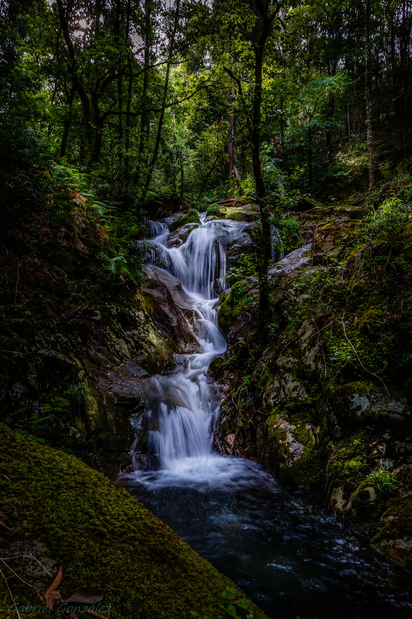 Spain, time lapse, Galicia, beauty In Nature, 1080P, Photo, RX, forest, lapse, stream, landscape, time, Sony, Xelo, falls, waterfall, nature, España, Pontevedra, Phone HD Wallpaper