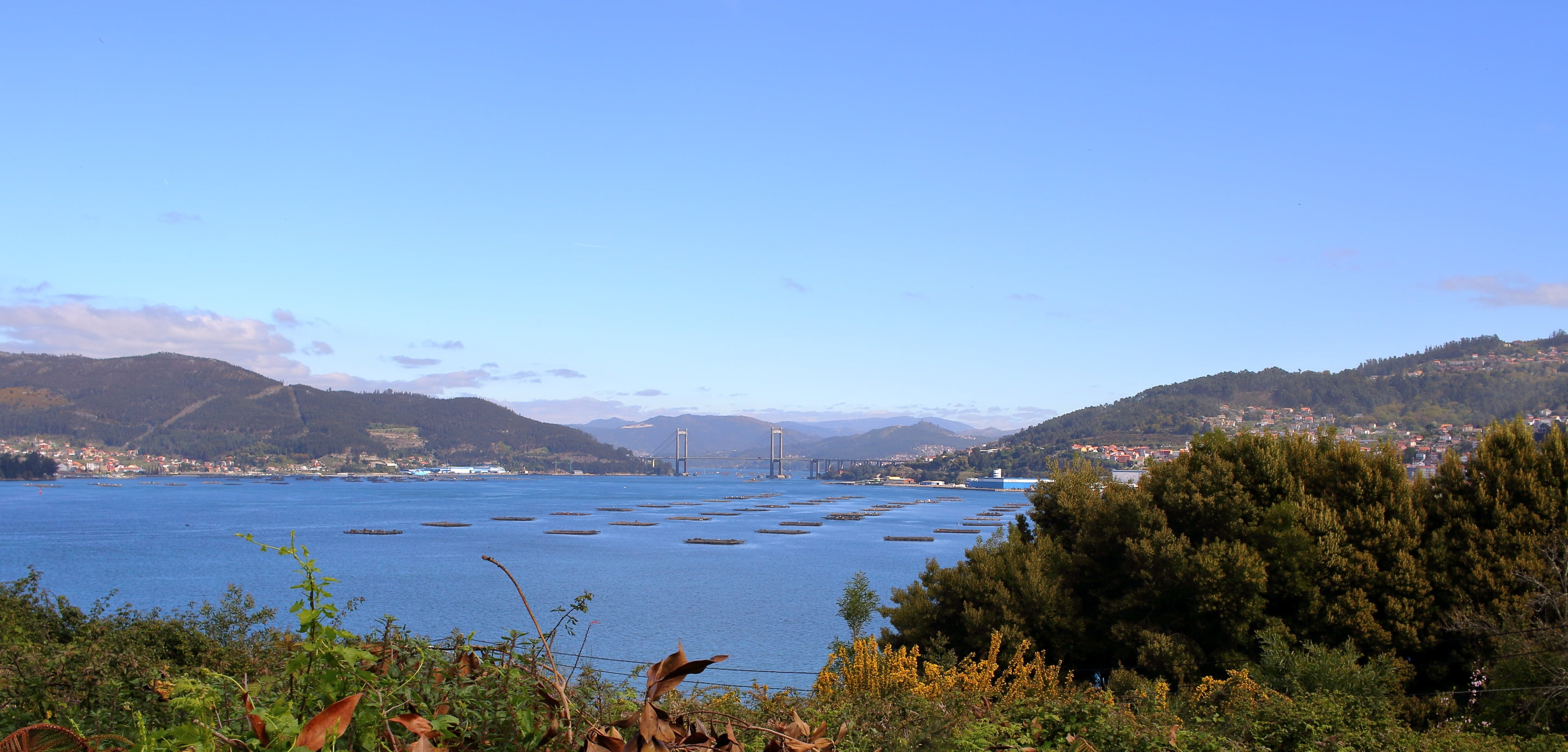 2K, tree, ria de vigo, tranquility, blue, nature, galicia, beauty in nature, outdoors, vao, water, mountain range, day, tranquil scene, bateas, scenics - nature, HD Wallpaper