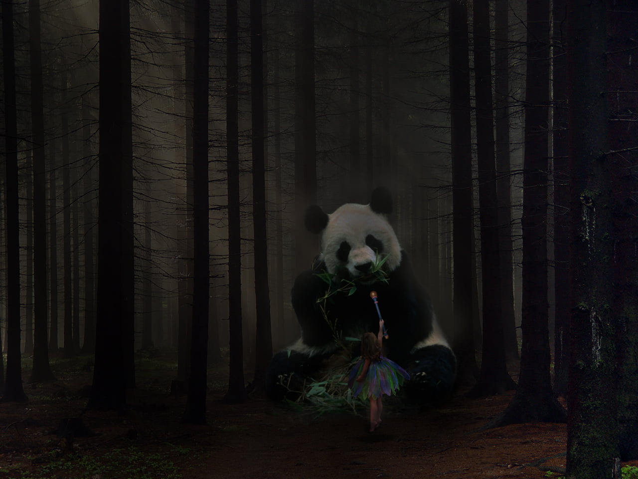 woodland, land, one animal, leisure activity, mammal, Gabriel (Shingeki no Bahamut), tree trunk, 720P, bamboo - plant, real people, digital composite, HD Wallpaper