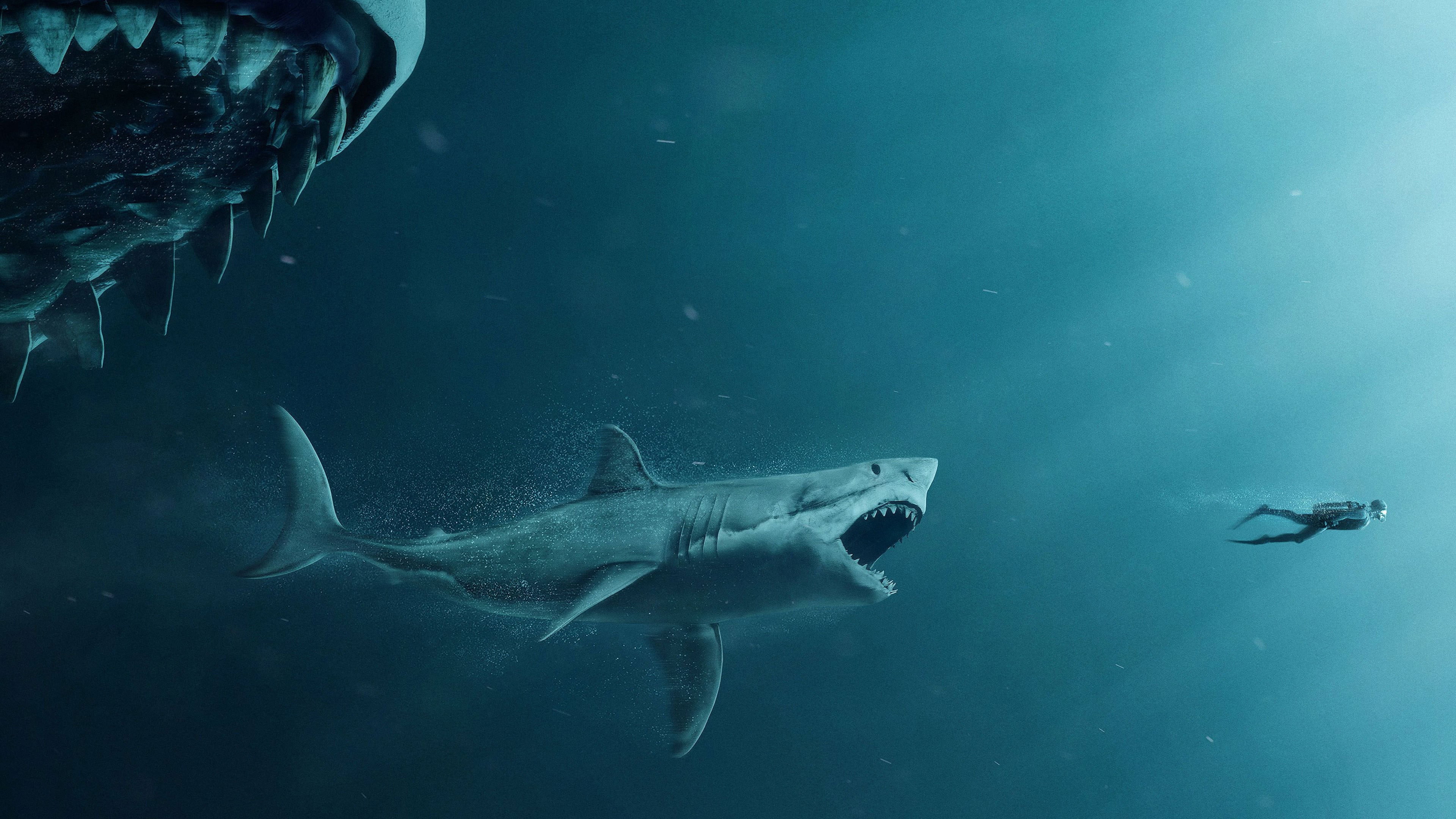 the meg, 4k, 4K, hd, 2018 movies, movies, HD Wallpaper
