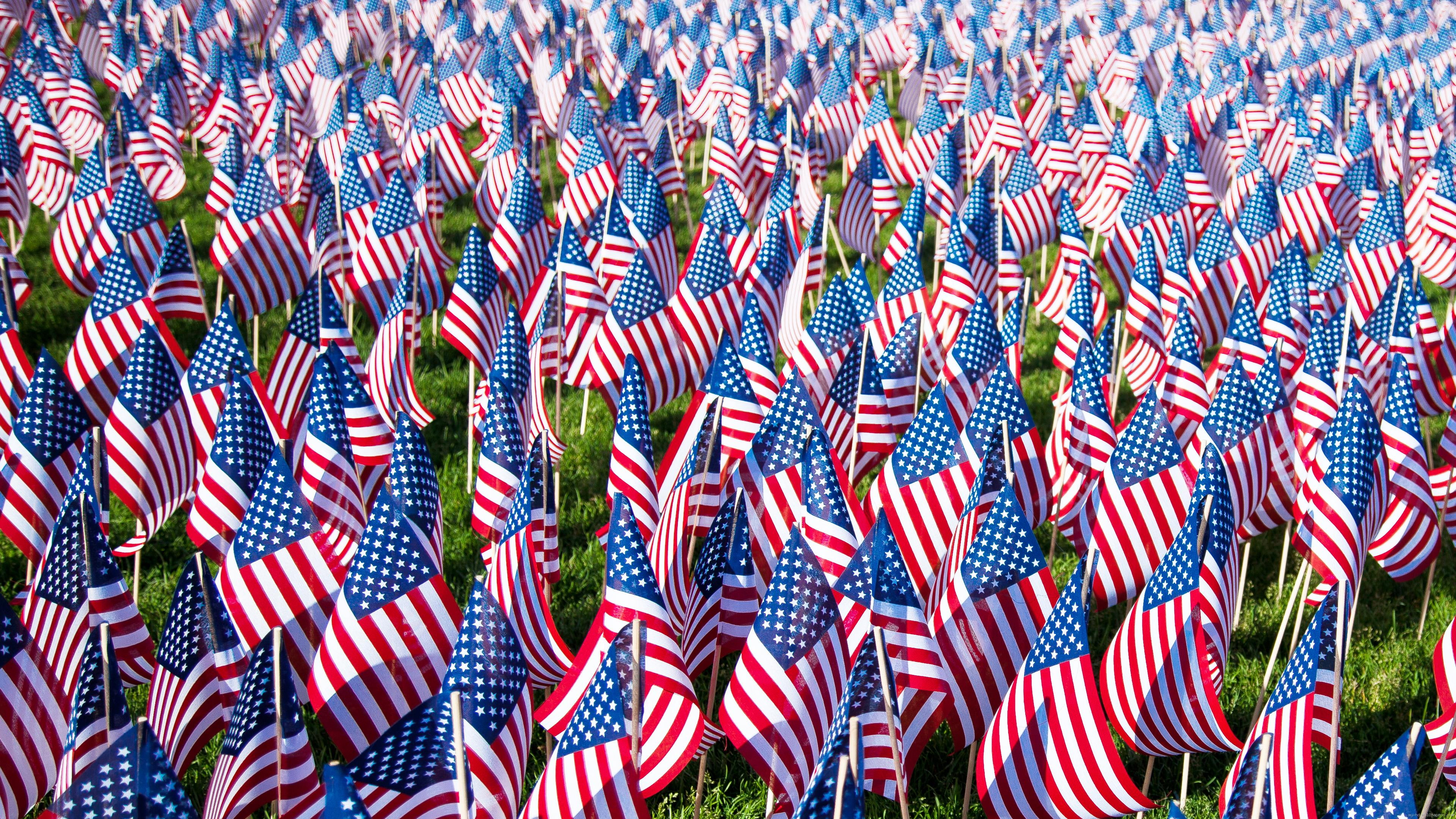 holidays, lot, u, flags, memorial day, american, 4K, flag, flaglet, america, s, HD Wallpaper