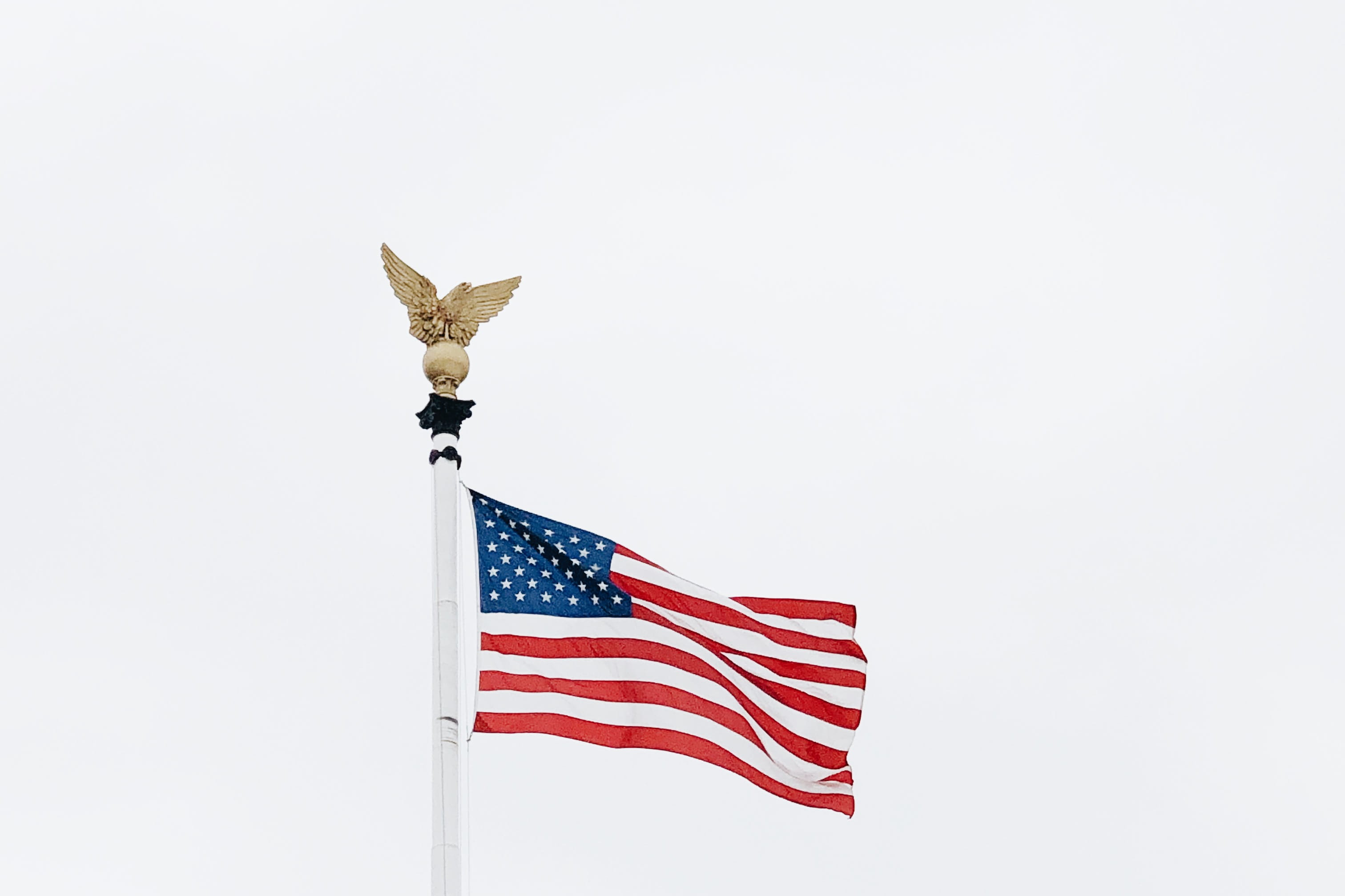 symbolism, arrow, star sprangled banner, national icon, animal, waving, independence, 7 columbus circle northeast, sky, s, low angle view, day, pride, eagle, HD Wallpaper