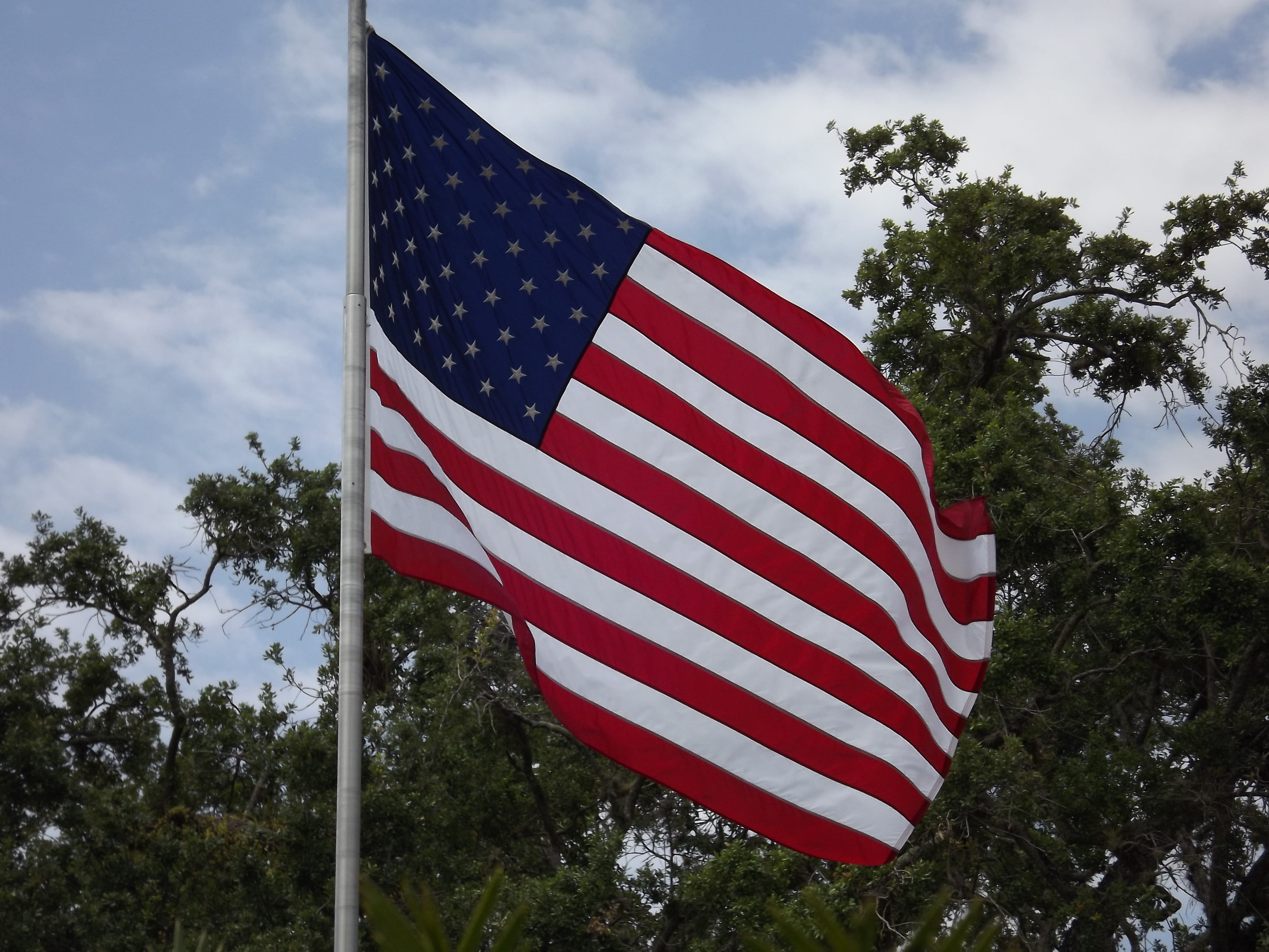 wind, red, bandera, striped, cloud - sky, usa, emotion, low angle view, shape, day, bandera americana, outdoors, no people, 4K, plant, patriotism, star shape, HD Wallpaper