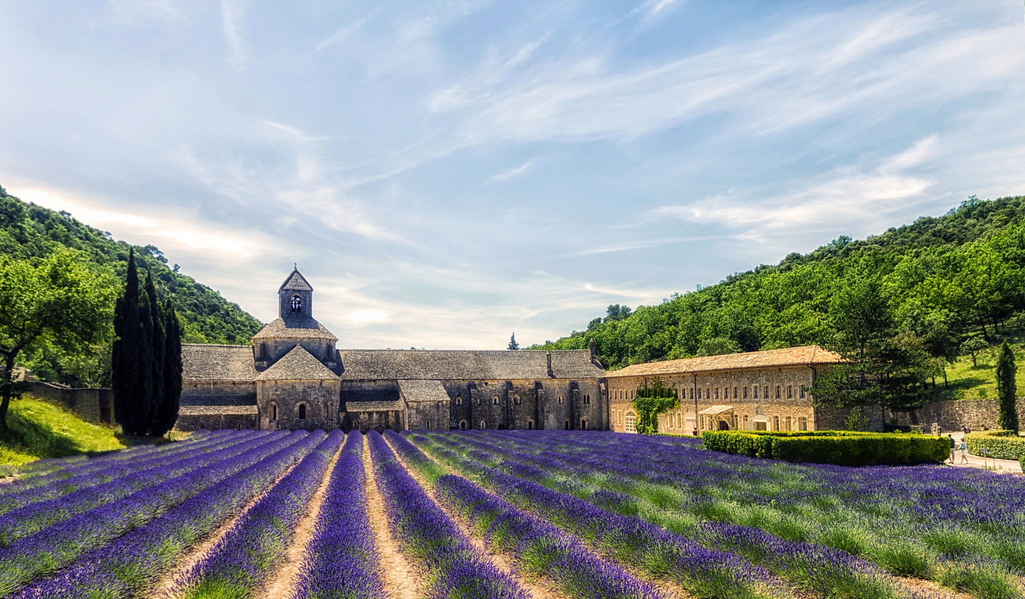 beige, senanque Abbey, Provence, flowers, black, trees, hdr, slope, 1080P, lavender, Proud, concrete, France, house, HD Wallpaper