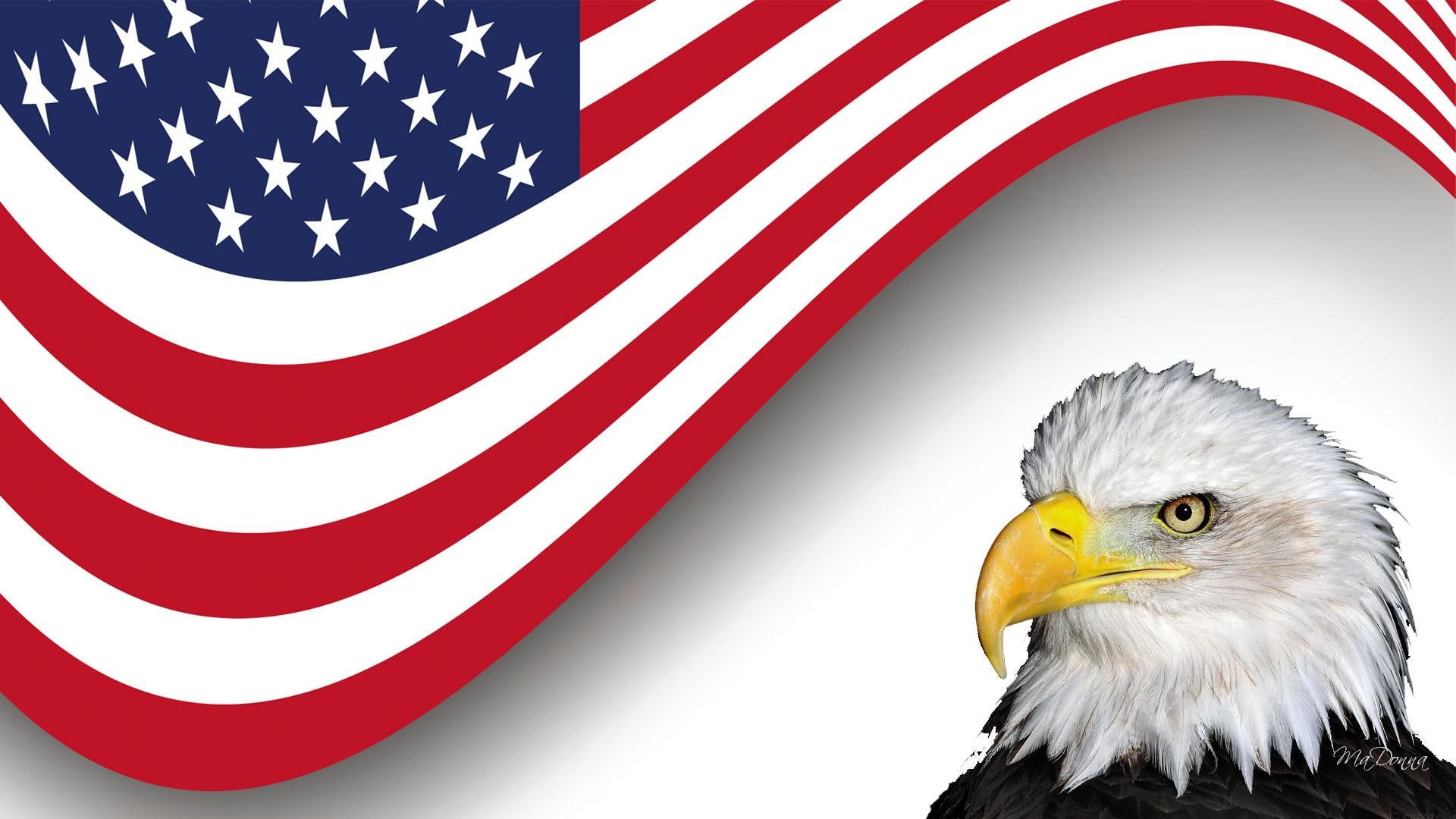 america, patriotic, 1080P, eagle, veter, patriotism, dom, independence day, stars, united states, stripes, memorial day, HD Wallpaper