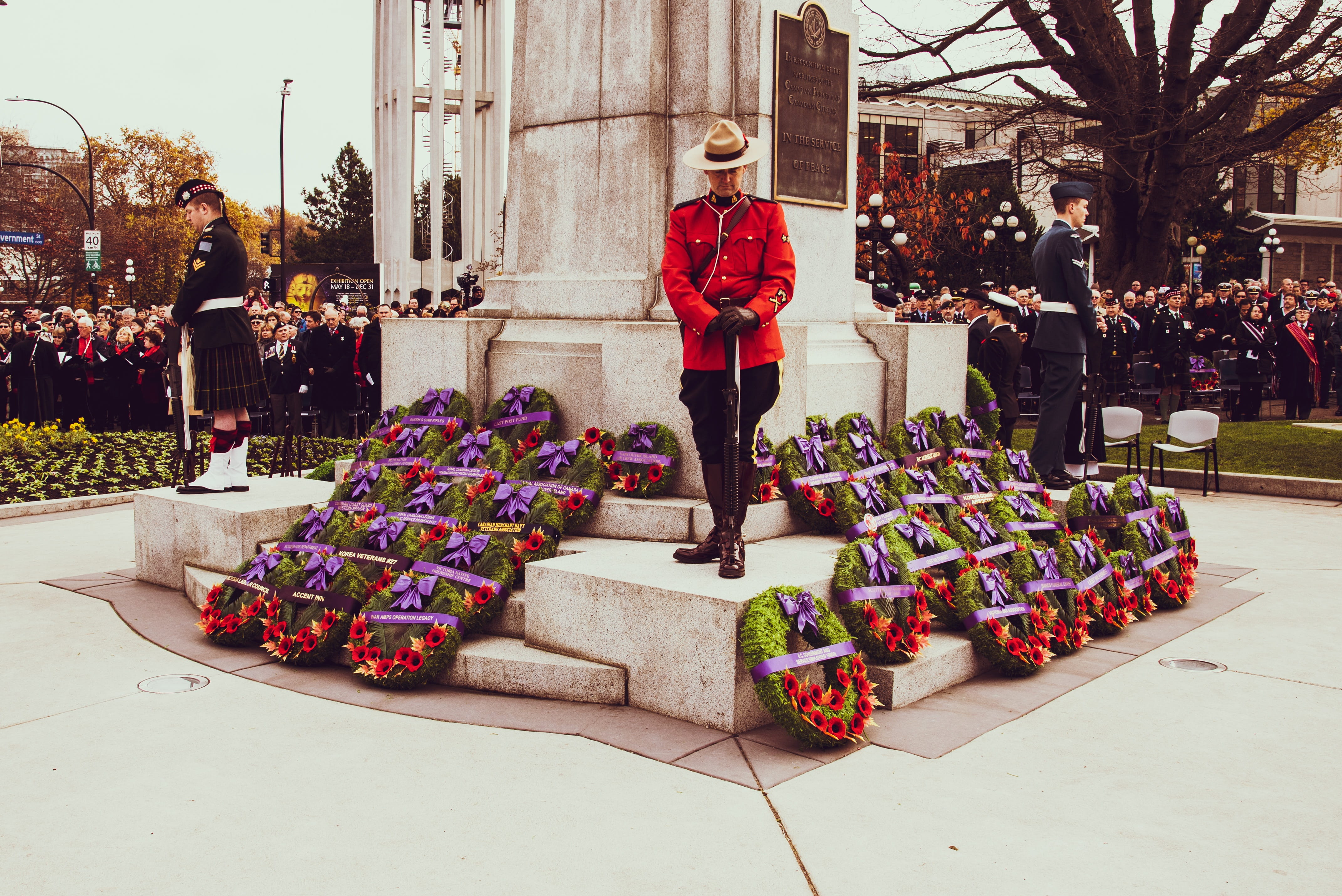 ceremony, standing, adult, poppy, bow, nature, memory, people, architecture, wreath, built structure, day, casual clothing, portrait, outdoors, flower, HD Wallpaper