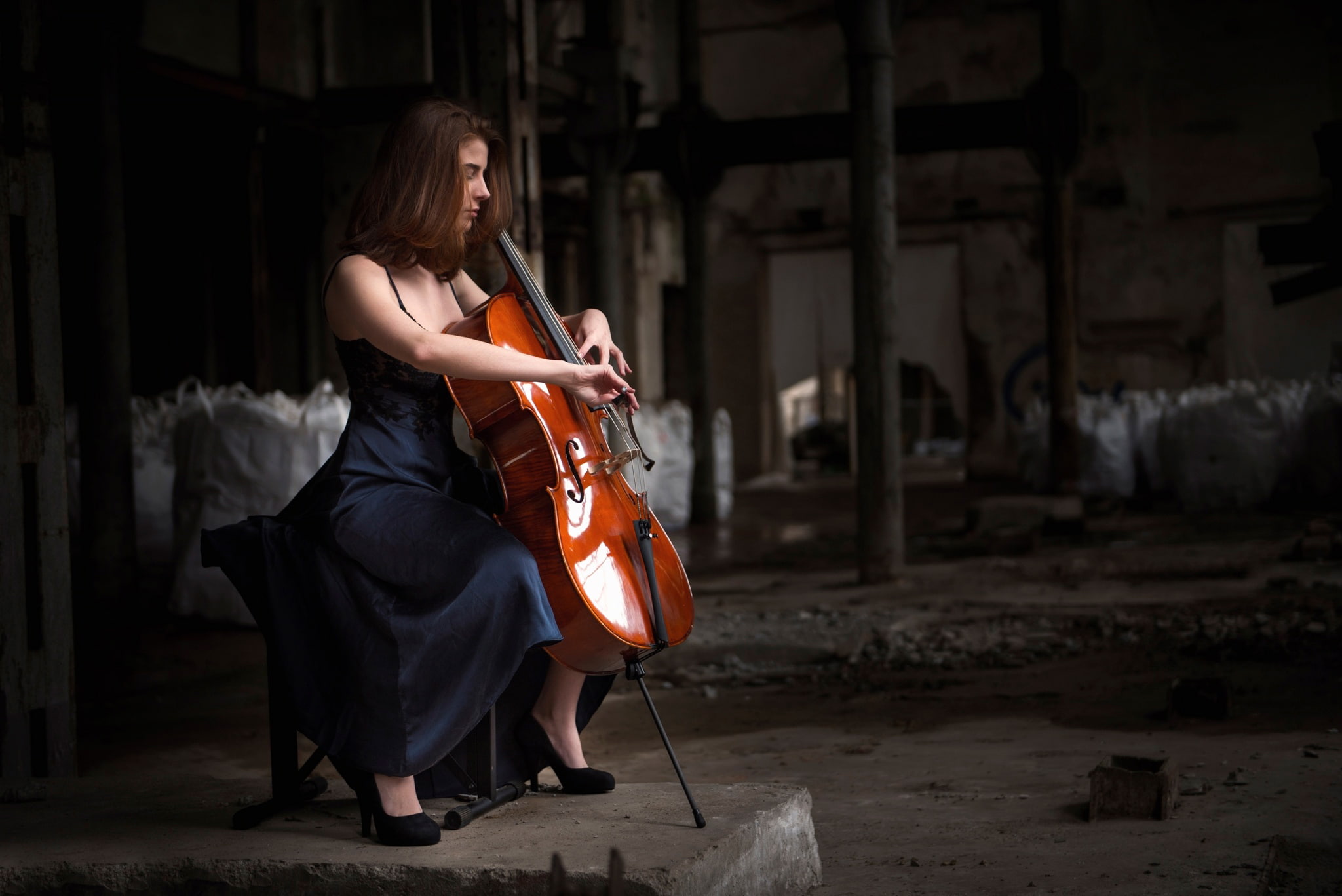 musical instrument, cello, Giada Back, 1080P, the game, HD Wallpaper