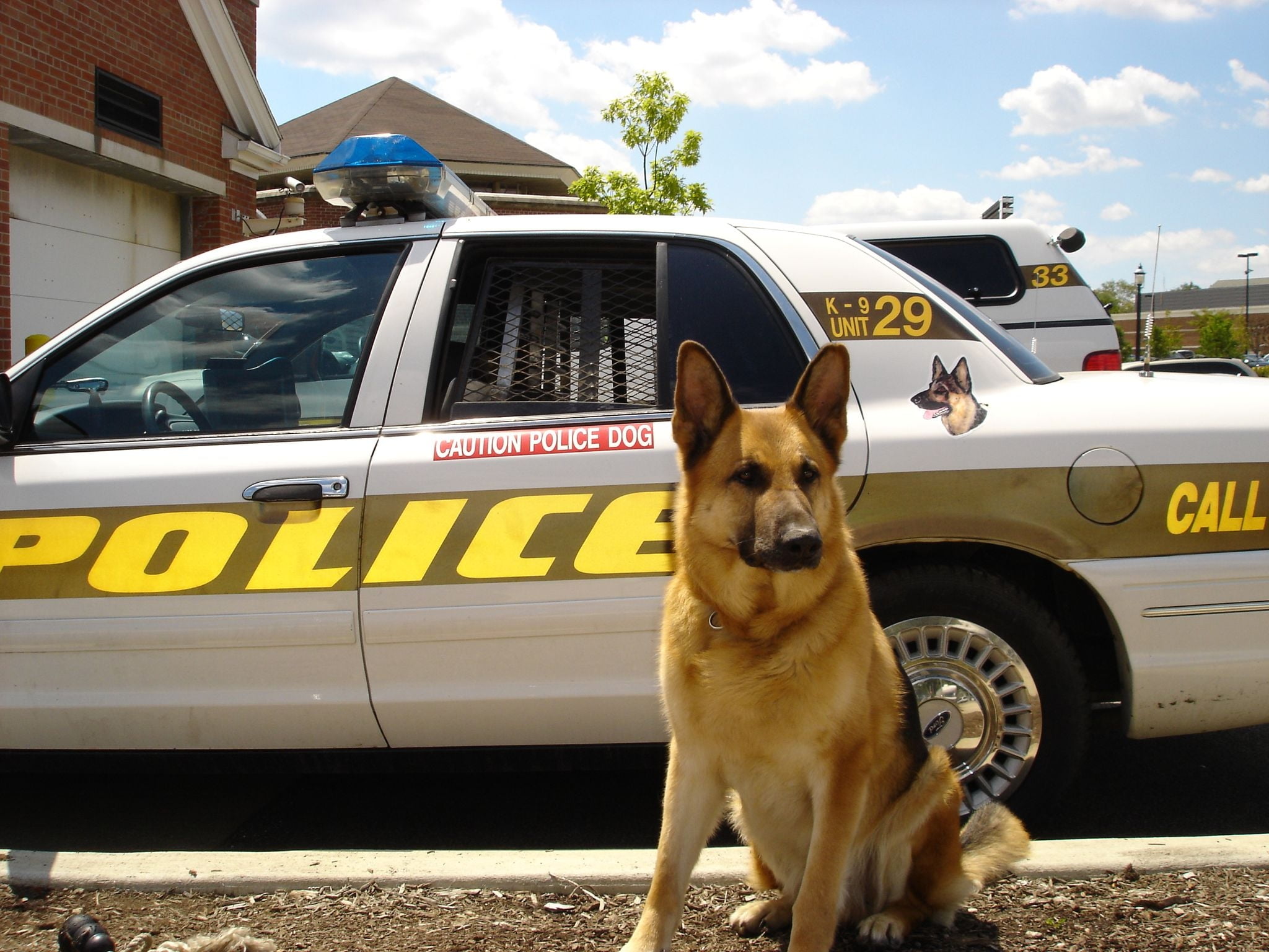 protection, car, bodyguard, domestic, law, police Car, vertebrate, security Guard, mode of transportation, day, transportation, rescue, land vehicle, crime, HD Wallpaper