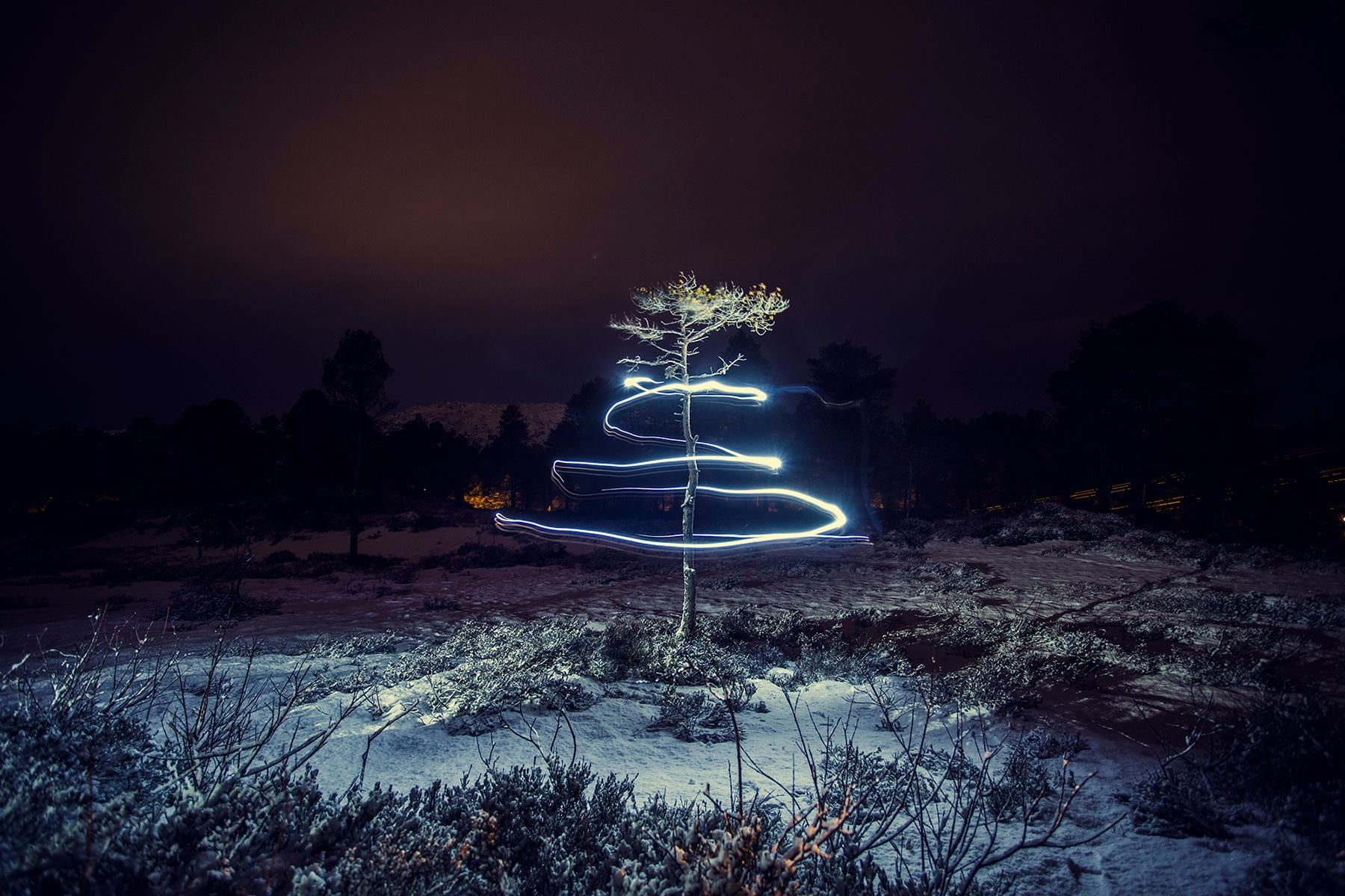 photography, tree, sky, Marius beck dahle , communication, transportation, land, night, green, light painting, sign, 720P, leafed, nature, long exposure, HD Wallpaper