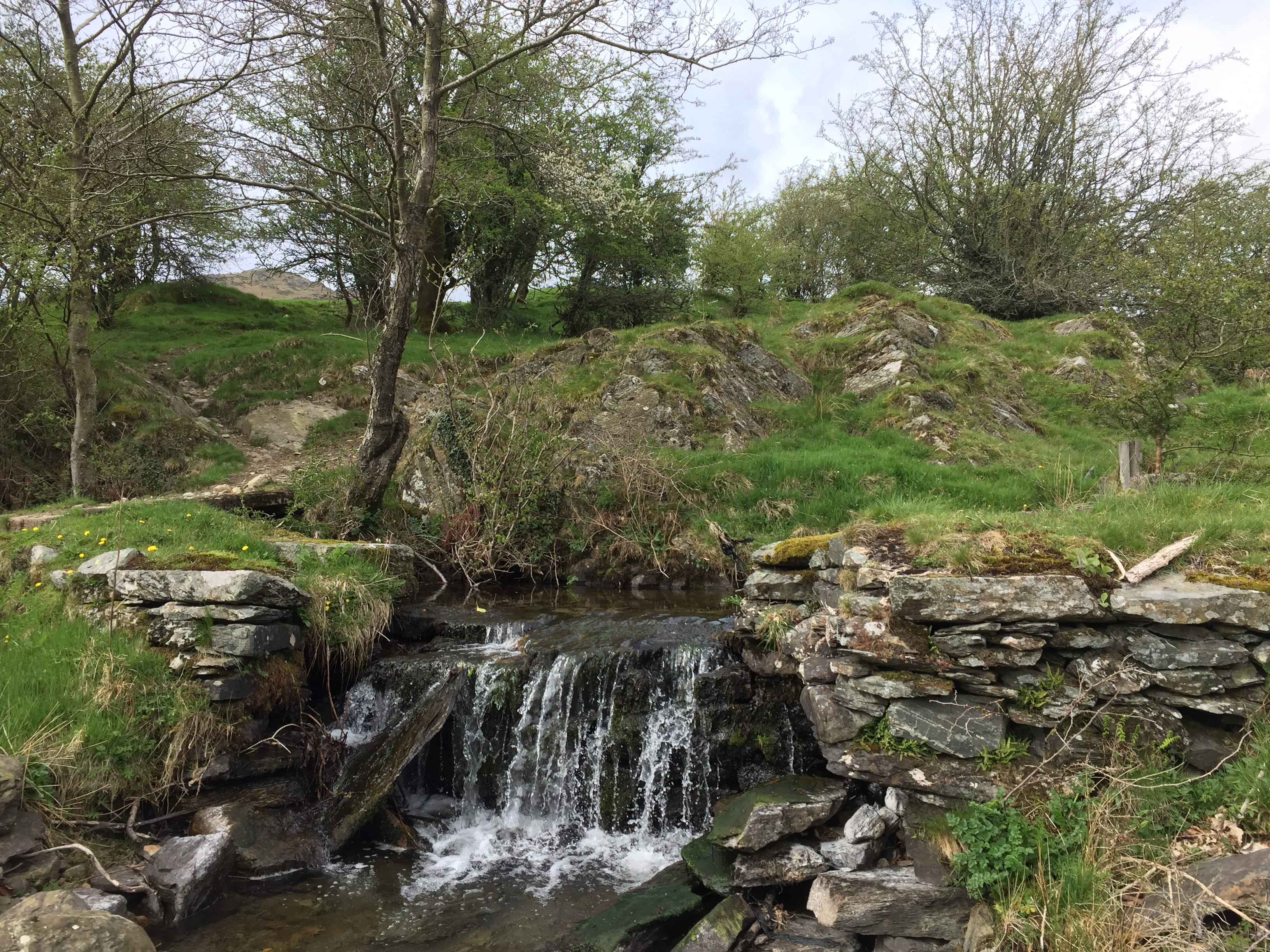 united kingdom, beauty in nature, outdoors, no people, stream, nature, plant, ulverston, tranquility, tree, stream - flowing water, scenics - nature, land, HD Wallpaper