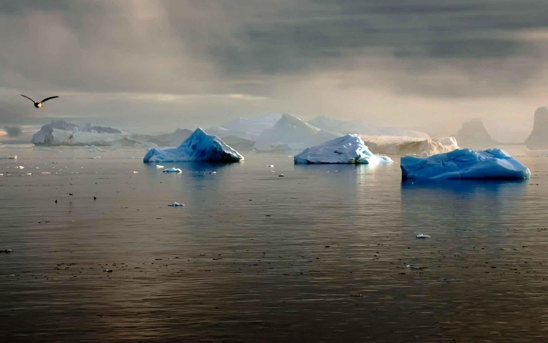 cold temperature, lake, landscape, snow, iceberg - Ice Formation, scenics, waterfront, beauty In Nature, water, 1080P, flying, outdoors, environment, glacier, HD Wallpaper