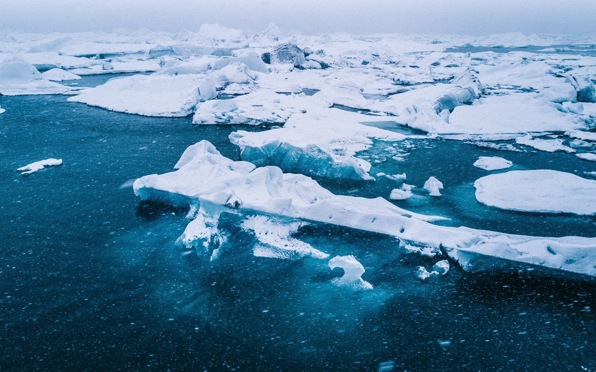 ice, blue, 1080P, Arctic, snowing, nature, sea, white, HD Wallpaper