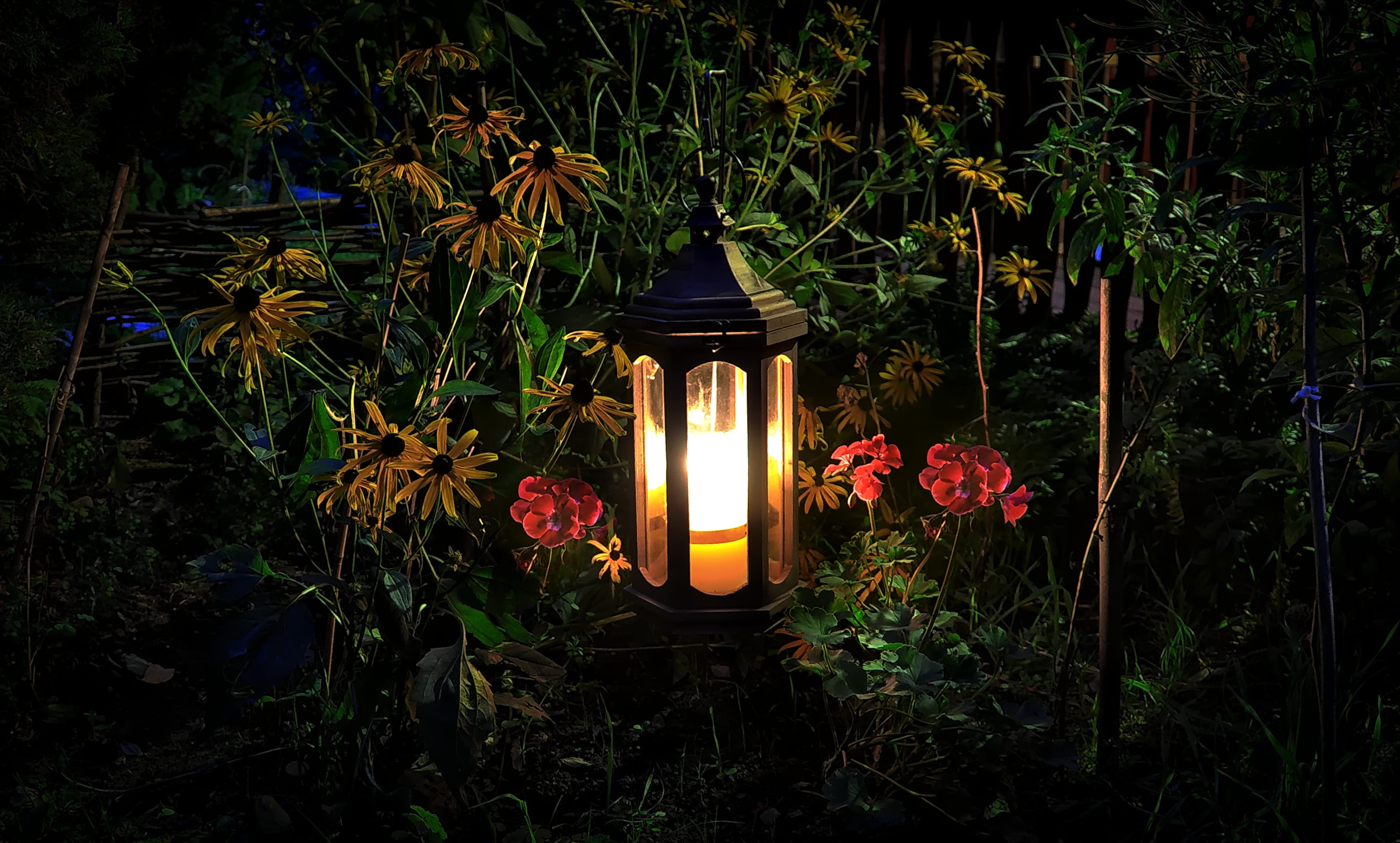 fire, burning, no people, lantern, night, land, the backlight, glowing, garden, illuminated, lighting equipment, plant, flame, light, 2K, flowering plant, HD Wallpaper