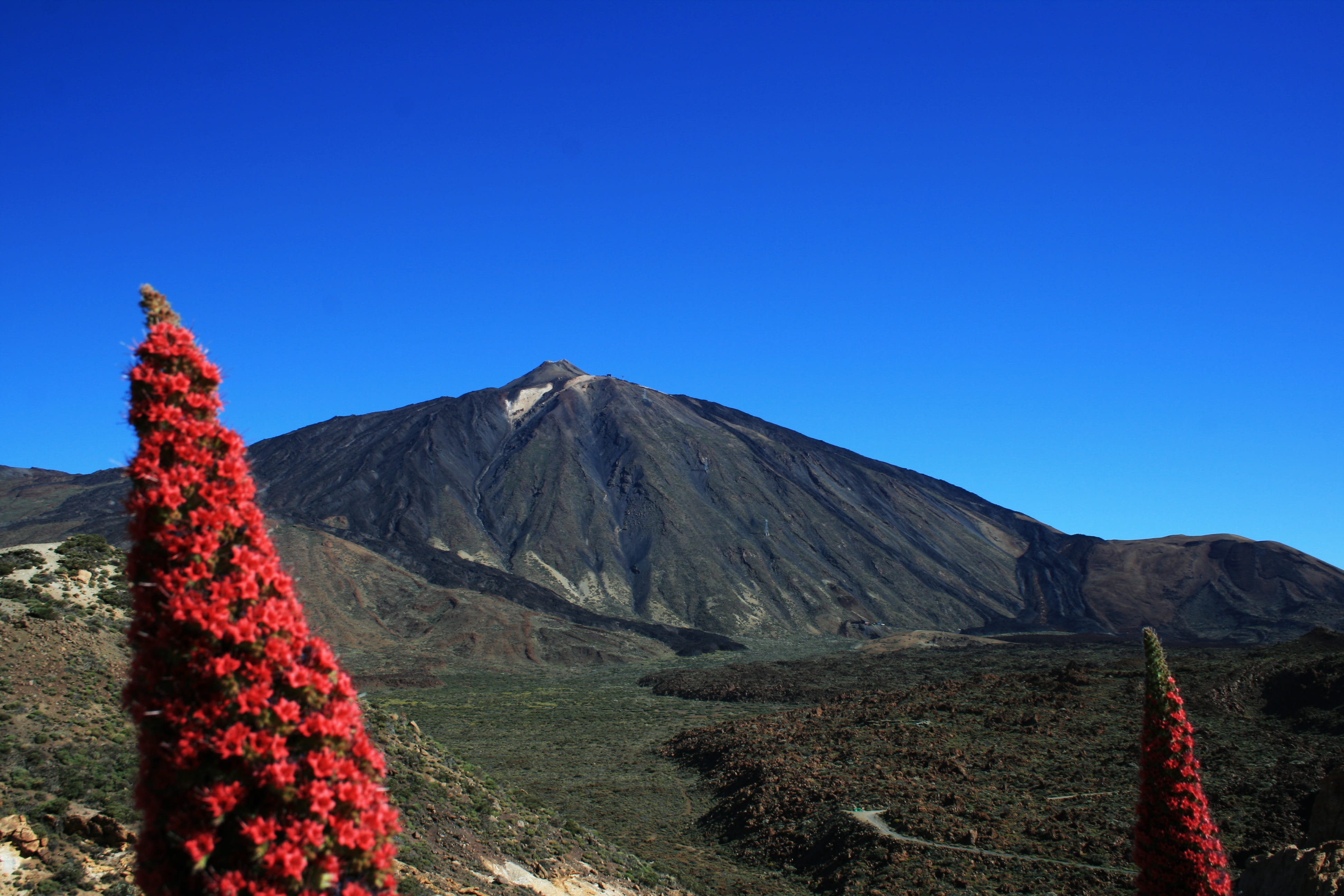 mountain peak, national, mountain, geology, mountain Range, nature, 4K, no People, tajinaste, power in nature, Rojo, scenics, day, physical geography, HD Wallpaper