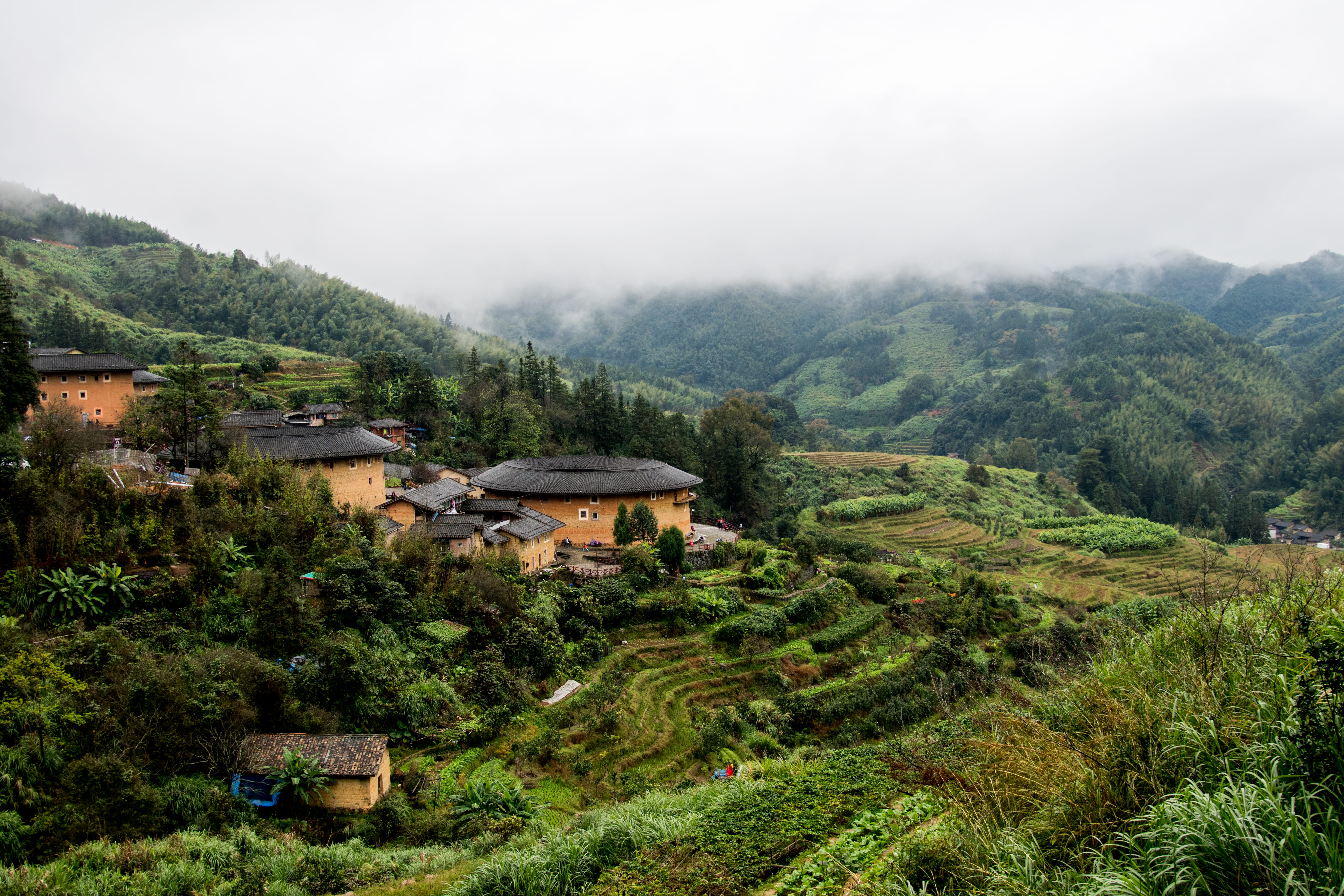 landscape, rural scene, 5K, field, tree, village, beauty in nature, fog, nature, architecture, house, no people, scenics - nature, tranquility, building, HD Wallpaper